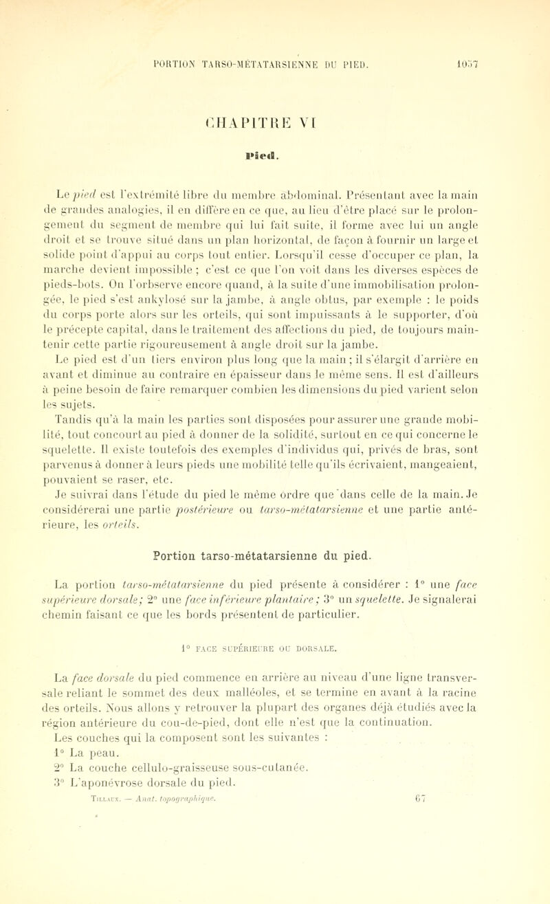 CHAPITRE VI Pied. Le pied est rextréinilé libre du menibi'e afxloininal. PrésenlaiiL avec la main de grandes analogies, il en diffère en ce qne, au lieu d'être placé sur le prolon- gement dn segment de membi'e qui lui fait snite, il l'orme avec lui un angle droit et se tronve situé dans un plan horizontal, de façon à fournir un large et solide point d'appui au corps tout entier. Lorsqu'il cesse d'occuper ce plan, la marche devient impossible ; c'est ce que Ton voit dans les diverses espèces de pieds-bots. On l'orbserve encore quand, à la suite d'une immobilisation prolon- gée, le pied s'est ankylosé sur la jambe, à angle obtus, par exemple : le poids du corps porte alors sur les orteils, qui sont impuissants à le supporter, d'où le précepte capital, dans le traitement des affections du pied, de toujours main- tenir .cette partie rigoureusement à angle droit sur la jambe. Le pied est d'un tiers environ plus long que la main ; il s'élargit d'arrière en avant et diminue au contraire en épaisseur dans le même sens. Il est d'ailleurs à peine besoin de faire remarquer combien les dimensions du pied varient selon les sujets. Tandis qu'à la main les parties sont disposées pour assurer une grande mobi- lité, tout concourt au pied à donner de la solidité, surtout en ce qui concerne le squelette. Il existe toutefois des exemples d'individus qui, privés de bras, sont parvenus à donner à leurs pieds une mobilité telle qu'ils écrivaient, mangeaient, pouvaient se raser, etc. Je suivrai dans l'étude du pied le même ordre que dans celle de la main. Je considérerai une partie joostériewe ou tarso-mélatarsienne et une partie anté- rieure, les orteils. Portion tarso-métatarsienne du pied. La portion tarso-mélatarsienne du pied présente à considérer : 1° une face supérieure dorsale; 2° une face inférieure plantaire ; 3° un squelette. Je signalerai chemin faisant ce que les bords présentent de particulier. 1° FACE SCPÉRIEfRE OU DORSALE. La face dorsale du pied commence en arrière au niveau d'une ligne transver- sale reliant le sommet des deux malléoles, et se termine en avant à la racine des orteils. Nous allons y retrouver la plupart des organes déjà étudiés avec la région antérieure du cou-de-pied, dont elle n'est que la continuation. Les couches qui la composent sont les suivantes : 1° La peau. 2 La couche cellulo-graisseuse sous-cutanée. ' ' 3'' L'aponévrose dorsale du pied. ■ ■ TiLLAUx. — Anat. topographiqne. ' 67