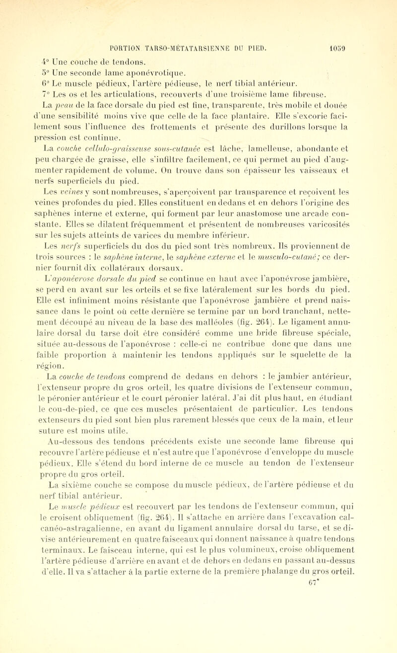 ■i° Une couche de tendons. 5° Une seconde lame aponévrotique. 6° Le mnscle pédienx, Tartère pédieuse, le nerf tibial antérieur. 7 Les os et les articulations, recouverts d'une troisième lame fibreuse. La peau de la face dorsale du pied est fine, transparente, très mobile et douée d'une sensibilité moins vive que celle de la face plantaire. Elle s'excorie faci- lement sous l'influence des frottements et présente des durillons lorsque la pression est continue. La couche cellulo-graisseuse sovs-cutanée est lâche, lamelleuse, abondante et peu chargée de graisse, elle s'infiltre facilement, ce qui permet au pied d'aug- menter rapidement de volume. On trouve dans son épaisseur les vaisseaux et nerfs superficiels du pied. Les veines y sont nombreuses, s'aperçoivent par transparence et reçoivent les veines profondes du pied. Elles constituent en dedans et en dehors l'origine des saphènes interne et externe, qui forment par leur anastomose une arcade con- stante. Elles se dilatent fréquemment et présentent de nombreuses varicosités sur les sujets atteints de varices du membre inférieur. Les 7ierfs superficiels du dos du pied sont très nombreux. Ils proviennent de trois sources : le saphène interne, le saphène externe et le musculo-culané; ce der- nier fournit dix collatéraux dorsaux. h'aponéorose dorsale du pied se continue en haut avec l'aponévrose jambière, se perd en avant sur les orteils et se fixe latéralement sur les bords du pied. Elle est infiniment moins résistante que l'aponévrose jambière et prend nais- sance dans le point où cette dernière se termine par un bord tranchant, nette- ment découpé au niveau de la base des malléoles (fîg. 264). Le ligament annu- laire dorsal du tarse doit être considéré comme une bride fibreuse spéciale, située au-dessous de l'aponévrose : celle-ci ne contribue donc que dans une faible proportion à maintenir les tendons appliqués sur le squelette de la région. La couche de tendons comprend de dedans en dehors : le jambier antérieur, l'extenseur propre du gros orteil, les quatre divisions de l'extenseur commun, le péronier antérieur et le court péronier latéral. J'ai dit plus haut, en étudiant le cou-de-pied, ce que ces muscles présentaient de particulier. Les tendons extenseurs du pied sont bien plus rarement blessés que ceux de la main, et leur suture est moins utile. Au-dessous des tendons précédents existe une seconde lame fibreuse qui recouvre l'artère pédieuse et n'est autre que l'aponévrose d'enveloppe du muscle pédieux. Elle s'étend du bord interne de ce muscle au tendon de l'extenseur propre du gros orteil. La sixième couche se compose du muscle pédieux, de l'artère pédieuse et du nerf tibial antérieur. Le muscle pédieux est recouvert par les tendons de l'extenseur commun, qui le croisent obliquement (fîg. 264). Il s'attache en arrière dans l'excavation cal- canéo-astragalienne, en avant du ligament annulaire dorsal du tarse, et se di- vise antérieurement en quatre faisceaux qui donnent naissance à quatre tendons terminaux. Le faisceau interne, qui est le plus volumineux, croise obliquement Tartère pédieuse d'arrière en avant et de dehors en dedans en passant au-dessus d'elle. 11 va s'attacher à la partie externe de la première phalange du gros orteil, 67*