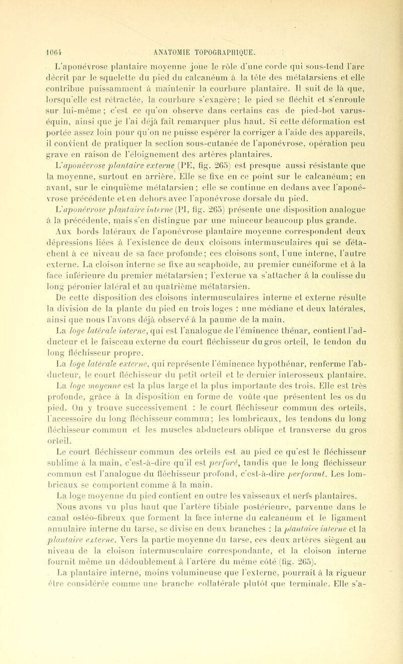 L'aponévrose plantaire moyenne joue le rôle d'une corde qui sous-tend l'arc décrit par le squelette du pied du calcanéum à la tête des métatai'siens et elle contribue puissamment ù maintenir la courbure plantaire. Il suit de là que, lorsqu'elle est rétractée, la courbure s'exagère; le pied se fléchit et s'enroule sur lui-même ; c'est ce qu'on observe dans certains cas de pied-bot varus- équin, ainsi que je l'ai déjà fait remarquer plus haut. Si cette déformation est portée assez loin pour qu'on ne puisse espérer la corriger à l'aide des appareils, il convient de pratiquer la section sous-cutanée de l'aponévrose, opération peu grave en raison de l'éloignement des artères plantaires. h'aponévrose plantaire externe (PE, flg. 265) est presque aussi résistante que la moyenne, surtout en arrière. Elle se fixe en ce point sur le calcanéum; en avant, sur le cinquième métatarsien; elle se continue en dedans avec l'aponé- vrose précédente et en dehors avec l'aponévrose dorsale du pied. U aponévrose plantaire interne {FI, fig. 265) présente une disposition analogue à la précédente, mais s'en distingue par une minceur beaucoup plus grande. Aux bords latéraux de l'aponévrose plantaire moyenne correspondent deux dépressions liées à l'existence de deux cloisons intermusculaires qui se déta- chent à ce niveau de sa face profonde; ces cloisons sont, l'une interne, l'autre externe. La cloison interne se fixe au scaphoïde, au premier cunéiforme et à la face inférieure du premier métatarsien; l'externe va s'attacher à la coulisse du long péronier latéral et au quatrième métatarsien. De cette disposition des cloisons intermusculaires interne et externe résulte la division de la plante du pied en trois loges : une médiane et deux latérales, ainsi que nous l'avons déjà observé à la paume de la main. La loge latérale interne, qui est l'analogue de l'éminence thénar, contient l'ad- ducteur et le faisceau externe du court fléchisseur du gros orteil, le tendon du long fléchisseur propre. La loge latérale externe, qui représente l'éminence hypothénar, renferme l'ab- ducteur, le court fléchisseur du petit orteil et le dernier interosseux plantaire. La loge moyenne est la plus large et la plus importante des trois. Elle est très profonde, grâce à la disposition en forme de voûte que présentent les os du pied. On y trouve successivement : le court fléchisseur commun des orteils, l'accessoire du long fléchisseur commun; les lombricaux, les tendons du long fléchisseur commun et les muscles abducteurs oblique et transverse du gros orteil. Le court fléchisseur commun des orteils est au pied ce qu'est le fléchisseur sublime à la main, c'est-à-dire qu'il est perforé, tandis c|ue le long fléchisseur commun est l'analogue du fléchisseur profond, c'est-à-dii'e perforant. Les lom- bricaux se comportent comme à la main. La loge moyenne du pied contient en outre les vaisseaux et nerfs plantaires. Nous avons vu plus haut que l'artère tibiale postérieure^ parvenue dans le canal ostéo-fibreux que forment la face interne du calcanéum et le ligament annulaire interne du tarse, se divise en deux branches : la p/antaire interne et la plantaire externe. Vers la partie moyenne du tarse, ces deux artères siègent au niveau de la cloison intermusculaire correspondante, et la cloison interne fournit même un dédoublement à l'artère du même côté (flg. 265). La plantaire interne, moins volumineuse que l'externe, pourrait à la rigueur être considérée comme une branche collatérale plutôt que terminale. Elle s'a-