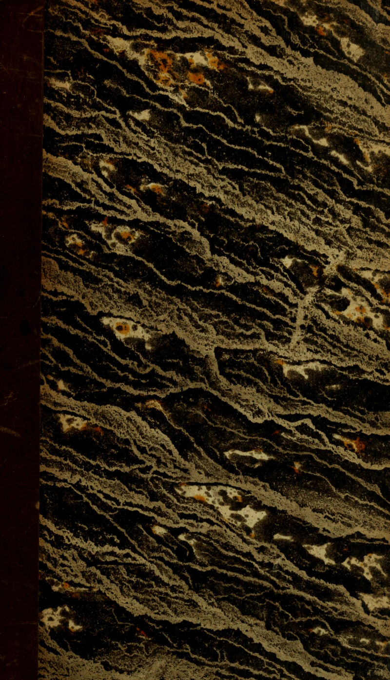 •-■ ^.**$£ ^ A •*£ .%* m ** ¥$ £*&*£* m ■ '«.'Vi ■**