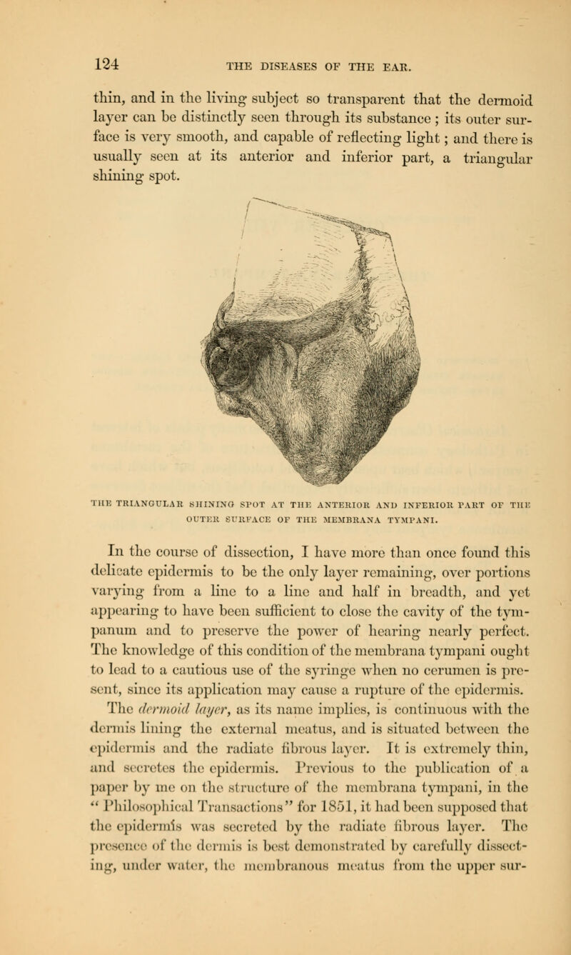 thin, and in the living subject so transparent that the dermoid layer can be distinctly seen through its substance ; its outer sur- face is very smooth, and capable of reflecting light; and there is usually seen at its anterior and inferior part, a triangular shining spot. THE TRIANGULAR SHINING SPOT AT THE ANTERIOR AND INFERIOR TART OF THE OUTER SURFACE OF THE MEMBRANA TYMPANI. In the course of dissection, I have more than once found this delicate epidermis to be the only layer remaining, over portions varying from a line to a line and half in breadth, and yet appearing to have been sufficient to close the cavity of the tym- panum and to preserve the power of hearing nearly perfect. The knowledge of this condition of the membrana tympani ought to lead to a cautious use of the syringe when no cerumen is pre- sent, since its application may cause a rupture of the epidermis. The dermoid layer, as its name implies, is continuous with the dermis lining the external meatus, and is situated between the epidermis and the radiate fibrous Layer. It is extremely thin, and secretes the epidermis. Previous to the publication of a paper by me on the structure of the membrana tympani, in the  Philosophical Transactions for 1851, it had been supposed that the epidermis was secreted by the radiate fibrous layer. The presence of the dermis is best demonstrated by carefully dissect- ing, under water, the membranous meatus from the upper sur-