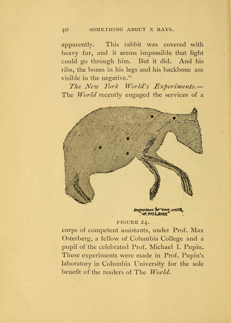 apparently. This rabbit was covered with heavy fur, and it seems impossible that light could go through him. But it did. And his ribs, the bones in his legs and his backbone are visible in the negative. The New York World's Experiments.— The World recently engaged the services of a FIGURE 24. corps of competent assistants, under Prof. Max Osterberg, a fellow of Columbia College and a pupil of the celebrated Prof. Michael I. Pupin. These experiments were made in Prof. Pupin's laboratory in Columbia University for the sole benefit of the readers of The World.