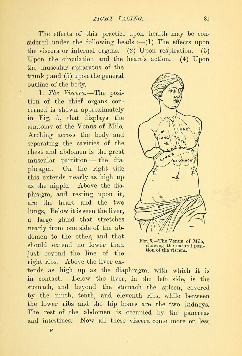 The effects of this practice upon health may be con- sidered under the following heads :—(1) The effects upon the viscera or internal organs. (2) Upon respiration. (3) Upon the circulation and the heart's action. (4) Upon the muscular apparatus of the trunk ; and (5) upon the general outline of the body. 1. The Viscera.—The posi- tion of the chief organs con- cerned is shown approximately in Fig. 5, that displays the anatomy of the Venus of Milo. Arching across the body and separating the cavities of the chest and abdomen is the great muscular partition — the dia- phragm. On the right side this extends nearly as high up as the nipple. Above the dia- phragm, and resting upon it, are the heart and the two lungs. Below it is seen the liver, a large gland that stretches nearly from one side of the ab- domen to the other, and that should extend no lower than just beyond the line of the right ribs. Above the liver ex- tends as high up as the diaphragm, with which it is in contact. Below the liver, in the left side, is the stomach, and beyond the stomach the spleen, covered by the ninth, tenth, and eleventh ribs, while between the lower ribs and the hip bones are the two kidneys. The rest of the abdomen is occupied by the pancreas and intestines. Now all these viscera come more or less Fig-. 5.—The Venus of Milo, showing the natural posi- tion of the viscera.