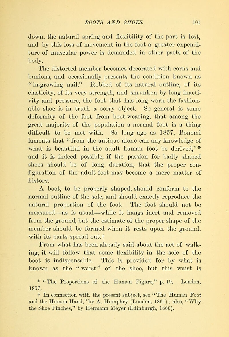 down, the natural spring and flexibility of the part is lost, and by this loss of movement in the foot a greater expendi- ture of muscular power is demanded in other parts of the body. The distorted member becomes decorated with corns and bunions, and occasionally presents the condition known as in-growing nail. Robbed of its natural outline, of its elasticity, of its very strength, and shrunken by long inacti- vity and pressure, the foot that has long worn the fashion- able shoe is in truth a sorry object. So general is some deformity of the foot from boot-wearing, that among the great majority of the population a normal foot is a thing difficult to be met with, So long ago as 1857, Bonomi laments that  from the antique alone can any knowledge of what is beautiful in the adult human foot be derived,* and it is indeed possible, if the passion for badly shaped shoes should be of long duration, that the proper con- figuration of the adult foot may become a mere matter of history. A boot, to be properly shaped, should conform to the normal outline of the sole, and should exactly reproduce the natural proportion of the foot. The foot should nob be measured—as is usual—while it hangs inert and removed from the ground, but the estimate of the proper shape of the member should be formed when it rests upon the ground, with its parts spread out.f From what has been already said about the act of walk- ing, it will follow that some flexibility in the sole of the boot is indispensable. This is provided for by what is known as the  waist of the shoe, but this waist is * The Proportions of the Human Figure, p. 19. London, 1857. t In connection with the present subject, see The Human Foot and the Human Hand, by A. Humphry (London, 1861); also, Why the Shoe Pinches, by Hermann Meyer (Edinburgh, 1860).