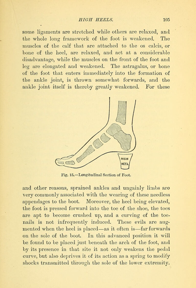 some ligaments are stretched while others are relaxed, and the whole long framework of the foot is weakened. The muscles of the calf that are attached to the os calcis, or bone of the heel, are relaxed, and act at a considerable disadvantage, while the muscles on the front of the foot and leg are elongated and weakened. The astragalus, or bone of the foot that enters immediately into the formation of the ankle joint, is thrown somewhat forwards, and the ankle joint itself is thereby greatly weakened. For these Tig. 15.—Longitudinal Section of Foot. and other reasons, sprained ankles and ungainly limbs are very commonly associated with the wearing of these needless appendages to the boot. Moreover, the heel being elevated, the foot is pressed forward into the toe of the shoe, the toes are apt to become crushed up, and a curving of the toe- nails is not infrequently induced. These evils are aug- mented when the heel is placed—as it often is—far forwards on the sole of the boot. In this advanced position it will be found to be placed just beneath the arch of the foot, and by its presence in that site it not only weakens the pedal curve, but also deprives it of its action as a spring to modify shocks transmitted through the sole of the lower extremity.