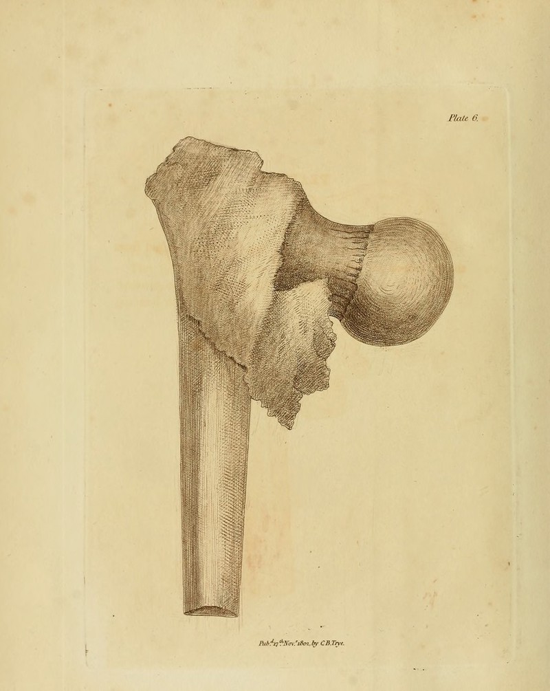 £UUt6. m. Puhf^n'^NmSiBoi.by CB.Trye.