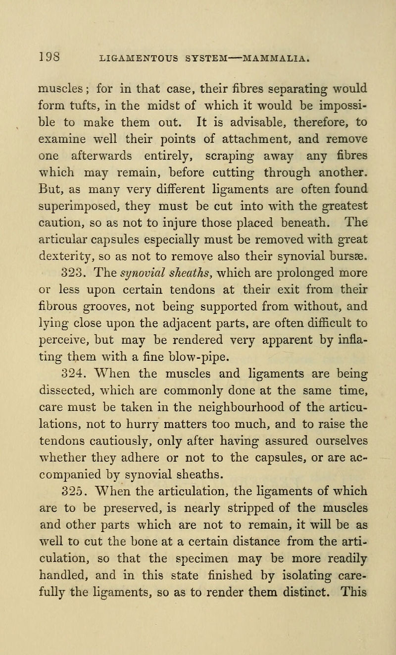 muscles; for in that case, their fibres separating would form tufts, in the midst of which it would be impossi- ble to make them out. It is advisable, therefore, to examine well their points of attachment, and remove one afterwards entirely, scraping away any fibres which may remain, before cutting through another. But, as many very different ligaments are often found superimposed, they must be cut into with the greatest caution, so as not to injure those placed beneath. The articular capsules especially must be removed with great dexterity, so as not to remove also their synovial bursse. 323. The synovial sheaths, which are prolonged more or less upon certain tendons at their exit from their fibrous grooves, not being supported from without, and lying close upon the adjacent parts, are often difficult to perceive, but may be rendered very apparent by infla- ting them with a fine blow-pipe. 324. When the muscles and ligaments are being dissected, which are commonly done at the same time, care must be taken in the neighbourhood of the articu- lations, not to hurry matters too much, and to raise the tendons cautiously, only after having assured ourselves whether they adhere or not to the capsules, or are ac- companied by synovial sheaths. 325. When the articulation, the ligaments of which are to be preserved, is nearly stripped of the muscles and other parts which are not to remain, it will be as well to cut the bone at a certain distance from the arti- culation, so that the specimen may be more readily handled, and in this state finished by isolating care- fully the ligaments, so as to render them distinct. This