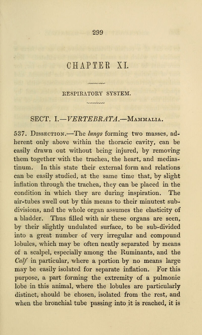 CHAPTEE XL EESPIRATORY SYSTEM. SECT. 1.—VERTEBRATA.—MAMMAJ.IA. 537. Dissection.—The lunffs forming two masses, ad- herent only above within the thoracic cavity, can be easily drawn out without being injured, by removing them together with the trachea, the heart, and medias- tinum. In this state their external form and relations can be easily studied, at the same time that, by slight inflation through the trachea, they can be placed in the condition in which they are during inspiration. The air-tubes swell out by this means to their minutest sub- divisions, and the whole organ assumes the elasticity of a bladder. Thus filled with air these organs are seen, by their slightly undulated surface, to be sub-divided into a great number of very irregular and compound lobules, which may be often neatly separated by means of a scalpel, especially among the Ruminants, and the Calf in particular, where a portion by no means large may be easily isolated for separate inflation. For this purpose, a part forming the extremity of a pulmonic lobe in this animal, where the lobules are particularly distinct, should be chosen, isolated from the rest, and when the bronchial tube passing into it is reached, it is