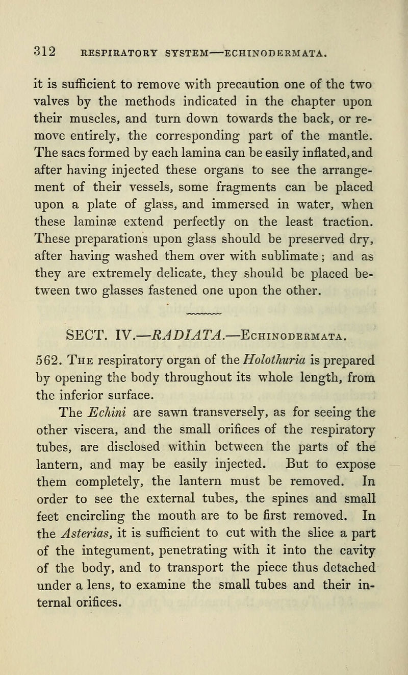 it is sufficient to remove with precaution one of the two valves by the methods indicated in the chapter upon their muscles, and turn down towards the back, or re- move entirely, the corresponding part of the mantle. The sacs formed by each lamina can be easily inflated, and after having injected these organs to see the arrange- ment of their vessels, some fragments can be placed upon a plate of glass, and immersed in water, when these laminse extend perfectly on the least traction. These preparations upon glass should be preserved dry, after having washed them over with sublimate; and as they are extremely delicate, they should be placed be- tween two glasses fastened one upon the other. SECT. IV.—RADIATA.—^cniNOBERMATA. 562. The respiratory organ of the Holothuria is prepared by opening the body throughout its whole length, from the inferior surface. The Echini are sawn transversely, as for seeing the other viscera, and the small orifices of the respiratory tubes, are disclosed within between the parts of the lantern, and may be easily injected. But to expose them completely, the lantern must be removed. In order to see the external tubes, the spines and small feet encircling the mouth are to be first removed. In the Asterias, it is sufficient to cut with the slice a part of the integument, penetrating with it into the cavity of the body, and to transport the piece thus detached under a lens, to examine the small tubes and their in- ternal orifices.