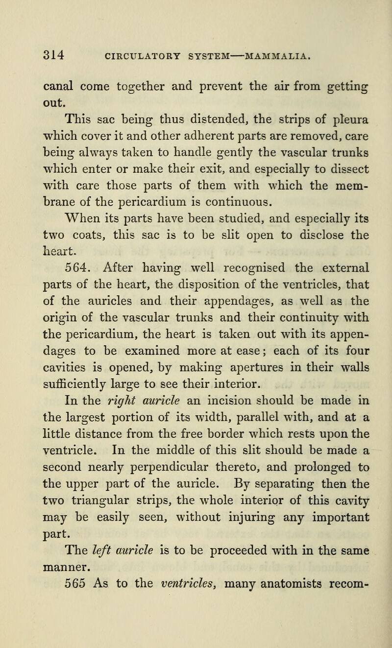 canal come together and prevent the air from getting out. This sac being thus distended, the strips of pleura which cover it and other adherent parts are removed, care being always taken to handle gently the vascular trunks which enter or make their exit, and especially to dissect with care those parts of them with which the mem- brane of the pericardium is continuous. When its parts have been studied, and especially its two coats, this sac is to be slit open to disclose the heart. 564. After having well recognised the external parts of the heart, the disposition of the ventricles, that of the auricles and their appendages, as well as the origin of the vascular trunks and their continuity with the pericardium, the heart is taken out with its appen- dages to be examined more at ease; each of its four cavities is opened, by making apertures in their walls sufficiently large to see their interior. In the right auricle an incision should be made in the largest portion of its width, parallel with, and at a little distance from the free border which rests upon the ventricle. In the middle of this slit should be made a second nearly perpendicular thereto, and prolonged to the upper part of the auricle. By separating then the two triangular strips, the whole interior of this cavity may be easily seen, without injuring any important part. The left auricle is to be proceeded with in the same manner. 565 As to the ventricles, many anatomists recom-