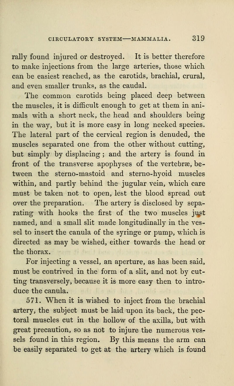 rally found injured or destroyed. It is better therefore to make injections from the large arteries, those which can be easiest reached, as the carotids, brachial, crural, and even smaller trunks, as the caudal. The common carotids being placed deep between the muscles, it is difficult enough to get at them in ani- mals with a short neck, the head and shoulders being in the way, but it is more easy in long necked species. The lateral part of the cervical region is denuded, the muscles separated one from the other without cutting, but simply by displacing ; and the artery is found in front of the transverse apophyses of the vertebrse, be- tween the sterno-mastoid and sterno-hyoid muscles within, and partly behind the jugular vein, which care must be taken not to open, lest the blood spread out over the preparation. The artery is disclosed by sepa- rating with hooks the first of the two muscles ju^t named, and a small slit made longitudinally in the ves- sel to insert the canula of the syringe or pump, which is directed as may be wished, either towards the head or the thorax. For injecting a vessel, an aperture, as has been said, must be contrived in the form of a slit, and not by cut- ting transversely, because it is more easy then to intro- duce the canula. 571. When it is wished to inject from the brachial artery, the subject must be laid upon its back, the pec- toral muscles cut in the hollow of the axilla, but with great precaution, so as not to injure the numerous ves- sels found in this region. By this means the arm can be easily separated to get at the artery which is found