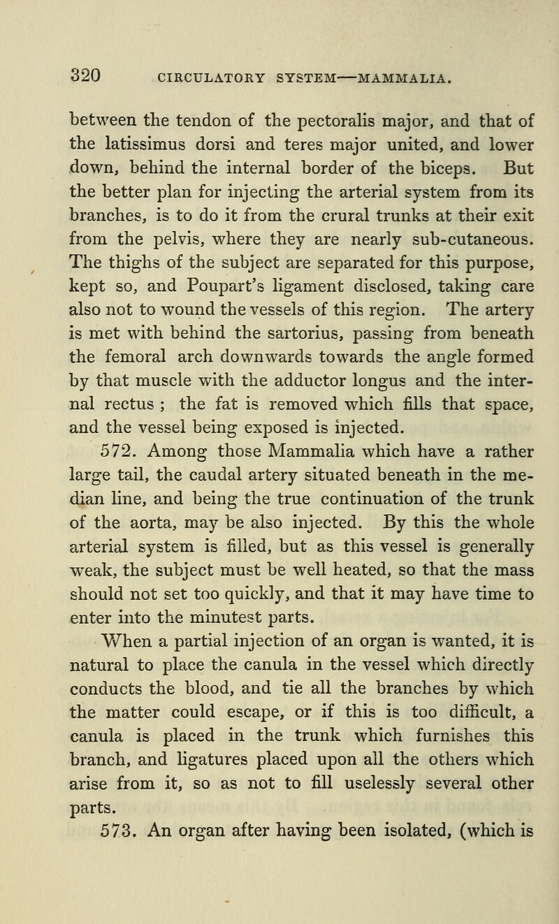 between the tendon of the pectoraHs major, and that of the latissimus dorsi and teres major united, and lower down, behind the internal border of the biceps. But the better plan for injecting the arterial system from its branches, is to do it from the crural trunks at their exit from the pelvis, where they are nearly sub-cutaneous. The thighs of the subject are separated for this purpose, kept so, and Poupart's ligament disclosed, taking care also not to wound the vessels of this region. The artery is met with behind the sartorius, passing from beneath the femoral arch downwards towards the angle formed by that muscle with the adductor longus and the inter- nal rectus ; the fat is removed which fills that space, and the vessel being exposed is injected. 572. Among those Mammalia which have a rather large tail, the caudal artery situated beneath in the me- dian line, and being the true continuation of the trunk of the aorta, may be also injected. By this the whole arterial system is filled, but as this vessel is generally w^eak, the subject must be well heated, so that the mass should not set too quickly, and that it may have time to enter into the minutest parts. When a partial injection of an organ is wanted, it is natural to place the canula in the vessel which directly conducts the blood, and tie all the branches by which the matter could escape, or if this is too difficult, a canula is placed in the trunk which furnishes this branch, and ligatures placed upon all the others which arise from it, so as not to fill uselessly several other parts. 573. An organ after having been isolated, (which is