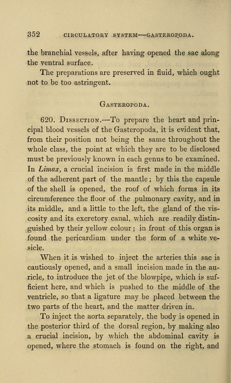 the branchial vessels, after having opened the sac along the ventral surface. The preparations are preserved in fluid, which ought not to be too astringent. Gasteropoda. 620. Dissection.—To prepare the heart and prin- cipal blood vessels of the Gasteropoda, it is evident that, from their position not being the same throughout the whole class, the point at which they are to be disclosed must be previously known in each genus to be examined. In Limax, a crucial incision is first made in the middle of the adherent part of the mantle; by this the capsule of the shell is opened, the roof of which forms in its circumference the floor of the pulmonary cavity, and in its middle, and a little to the left, the gland of the vis- cosity and its excretory canal, which are readily distin- guished by their yellow colour ; in front of this organ is found the pericardium under the form of a white ve- sicle. When it is wished to inject the arteries this sac is cautiously opened, and a small incision made in the au- ricle, to introduce the jet of the blowpipe, which is suf- ficient here, and which is pushed to the middle of the ventricle, so that a ligature may be placed between the two parts of the heart, and the matter driven in. To inject the aorta separately, the body is opened in the posterior third of the dorsal region, by making also a crucial incision, by which the abdominal cavity is opened, where the stomach is found on the right, and