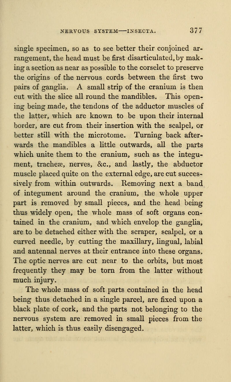 single specimen, so as to see better their conjoined ar- rangement, the head must be first disarticulated, by mak- ing a section as near as possible to the corselet to preserve the origins of the nervous cords between the first two pairs of ganglia. A small strip of the cranium is then cut with the slice all round the mandibles. This open- ing being made, the tendons of the adductor muscles of the latter, which are known to be upon their internal border, are cut from their insertion with the scalpel, or better still with the microtome. Turning back after- wards the mandibles a little outwards, all the parts which unite them to the cranium, such as the integu- ment, tracheee, nerves, &c., and lastly, the abductor muscle placed quite on the external edge, are cut succes- sively from within outwards. Removing next a band of integument around the cranium, the whole upper part is removed by small pieces, and the head being thus widely open, the whole mass of soft organs con- tained in the cranium, and which envelop the ganglia, are to be detached either with the scraper, scalpel, or a curved needle, by cutting the maxillary, lingual, labial and antennal nerves at their entrance into these organs. The optic nerves are cut near to the orbits, but most frequently they may be torn from the latter without much injury. The whole mass of soft parts contained in the head being thus detached in a single parcel, are fixed upon a black plate of cork, and the parts not belonging to the nervous system are removed in small pieces from the latter, which is thus easily disengaged.