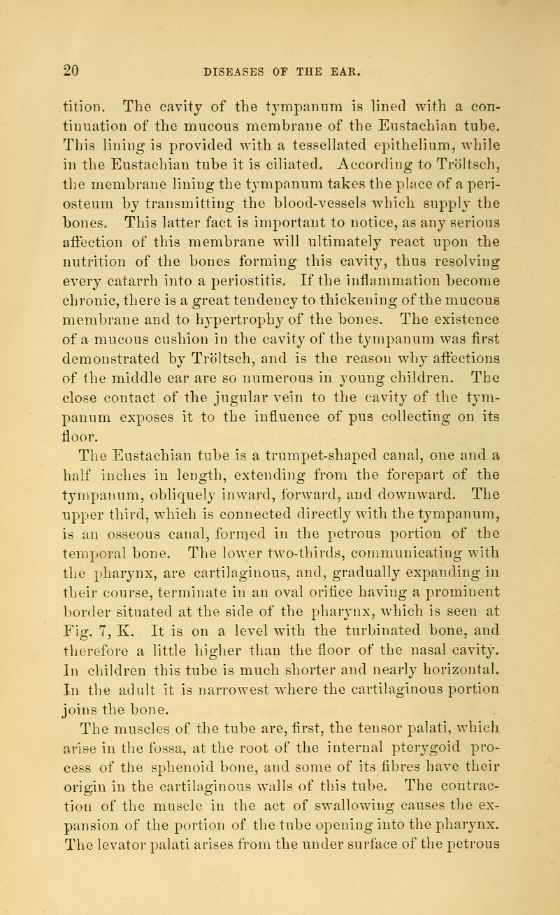 tition. The cavity of the tympanum is lined with a con- tinuation of the mucous membrane of the Eustachian tube. This lining is provided with a tessellated epithelium, while in the Eustachian tube it is ciliated. According to Troltsch, the membrane lining the tympanum takes the place of a peri- osteum by transmitting the blood-vessels which supply the bones. This latter fact is important to notice, as any serious affection of this membrane will ultimately react upon the nutrition of the bones forming this cavity, thus resolving every catarrh into a periostitis. If the inflammation become chronic, there is a great tendency to thickening of the mucous membrane and to hypertrophy of the bones. The existence of a mucous cushion in the cavity of the tympanum was first demonstrated by Troltsch, and is the reason why affections of the middle ear are so numerous in young children. The close contact of the jugular vein to the cavity of the tym- panum exposes it to the influence of pus collecting on its floor. The Eustachian tube is a trumpet-shaped canal, one and a half inches in length, extending from the forepart of the tympanum, obliquely inward, forward, and downward. The upper third, which is connected directly with the tympanum, is an osseous canal, formed in the petrous portion of the temporal bone. The lower two-thirds, communicating with the pharynx, are cartilaginous, and, gradually expanding in their course, terminate in an oval orifice having a prominent border situated at the side of the pharynx, which is seen at Fig. 7, K. It is on a level with the turbinated bone, and therefore a little higher than the floor of the nasal cavity. In children this tube is much shorter and nearly horizontal. In the adult it is narrowest where the cartilaginous portion joins the bone. The muscles of the tube are, first, the tensor palati, which arise in the fossa, at the root of the internal pterygoid pro- cess of the sphenoid bone, and some of its fibres have their origin in the cartilaginous walls of this tube. The contrac- tion of the muscle in the act of swallowing causes the ex- pansion of the portion of the tube opening into the pharynx. The levator palati arises from the under surface of the petrous