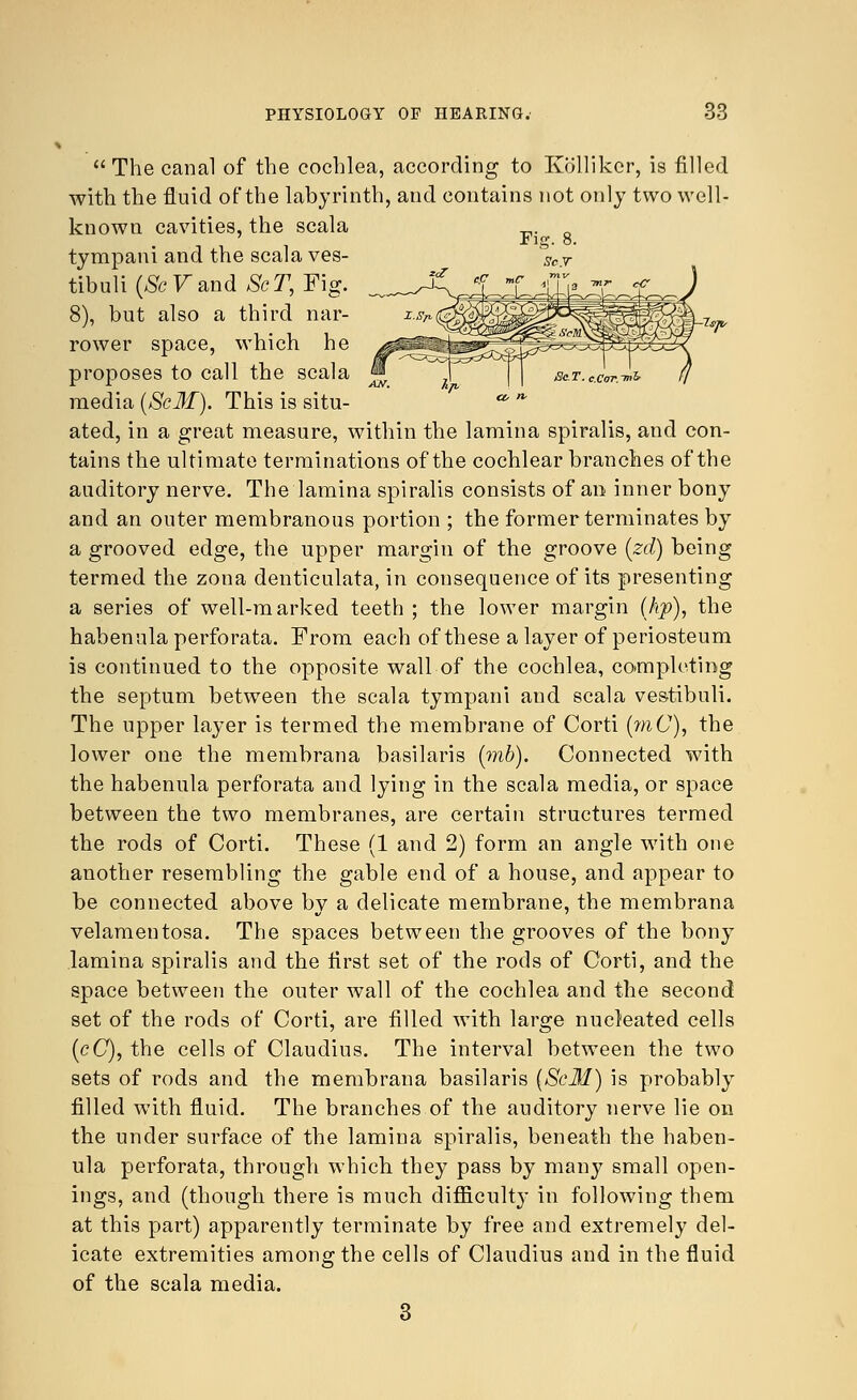  The canal of the cochlea, according to Kolliker, is filled with the fluid of the labyrinth, and contains not only two well- known cavities, the scala tympani and the scala ves- tibuliO&Fand ScT, Fig. 8), but also a third nar- rower space, which he proposes to call the scala media (ScM). This is situ- ated, in a great measure, within the lamina spiralis, and con- tains the ultimate terminations of the cochlear branches of the auditory nerve. The lamina spiralis consists of an inner bony and an outer membranous portion ; the former terminates by a grooved edge, the upper margin of the groove (zd) being termed the zona denticulata, in consequence of its presenting a series of well-marked teeth ; the lower margin (hp), the habenula perforata. From each of these a layer of periosteum is continued to the opposite wall of the cochlea, completing the septum between the scala tympani and scala vestibuli. The upper layer is termed the membrane of Corti (mC), the lower one the membrana basilaris (mb). Connected with the habenula perforata and lying in the scala media, or space between the two membranes, are certain structures termed the rods of Corti. These (1 and 2) form an angle with one another resembling the gable end of a house, and appear to be connected above by a delicate membrane, the membrana velamentosa. The spaces between the grooves of the bony lamina spiralis and the first set of the rods of Corti, and the space between the outer wall of the cochlea and the second set of the rods of Corti, are filled with large nucleated cells (c(7), the cells of Claudius. The interval between the two sets of rods and the membrana basilaris (Sell) is probably filled with fluid. The branches of the auditory nerve lie on the under surface of the lamina spiralis, beneath the haben- ula perforata, through which they pass by many small open- ings, and (though there is much difficulty in following them at this part) apparently terminate by free and extremely del- icate extremities among the cells of Claudius and in the fluid of the scala media.