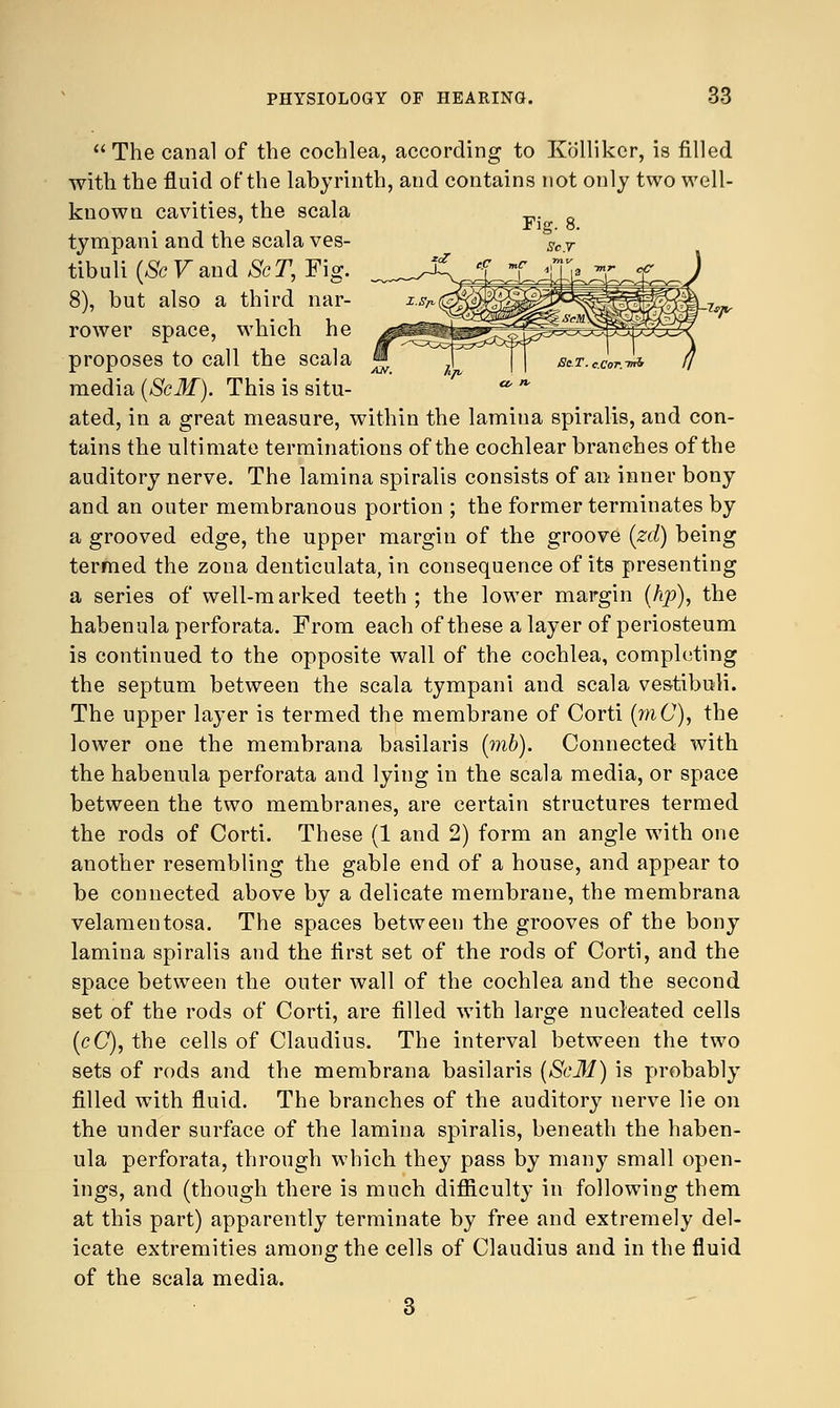 The canal of the cochlea, according to Kollikcr, is filled with the fluid of the labyrinth, and contains not only two well- known cavities, the scala tympani and the scala ves- tibuli(&Faud ScT, Fig. 8), but also a third nar- rower space, which he proposes to call the scala media (ScM). This is situ- ated, in a great measure, within the lamina spiralis, and con- tains the ultimate terminations of the cochlear branches of the auditory nerve. The lamina spiralis consists of an inner bony and an outer membranous portion ; the former terminates by a grooved edge, the upper margin of the groove (zd) being termed the zona denticulata, in consequence of its presenting a series of well-marked teeth ; the lower margin (hp), the habenula perforata. From each of these a layer of periosteum is continued to the opposite wall of the cochlea, completing the septum between the scala tympani and scala vestibuli. The upper la}*er is termed the membrane of Corti (mG), the lower one the membrana basilaris (mb). Connected with the habenula perforata and lying in the scala media, or space between the two membranes, are certain structures termed the rods of Corti. These (1 and 2) form an angle with one another resembling the gable end of a house, and appear to be connected above by a delicate membrane, the membrana velamentosa. The spaces between the grooves of the bony lamina spiralis and the first set of the rods of Corti, and the space between the outer wall of the cochlea and the second set of the rods of Corti, are filled with large nucleated cells (c(7), the cells of Claudius. The interval between the two sets of rods and the membrana basilaris (Sc31) is probably filled with fluid. The branches of the auditory nerve lie on the under surface of the lamina spiralis, beneath the haben- ula perforata, through which they pass by many small open- ings, and (though there is much difficulty in following them at this part) apparently terminate by free and extremely del- icate extremities among the cells of Claudius and in the fluid of the scala media. 3