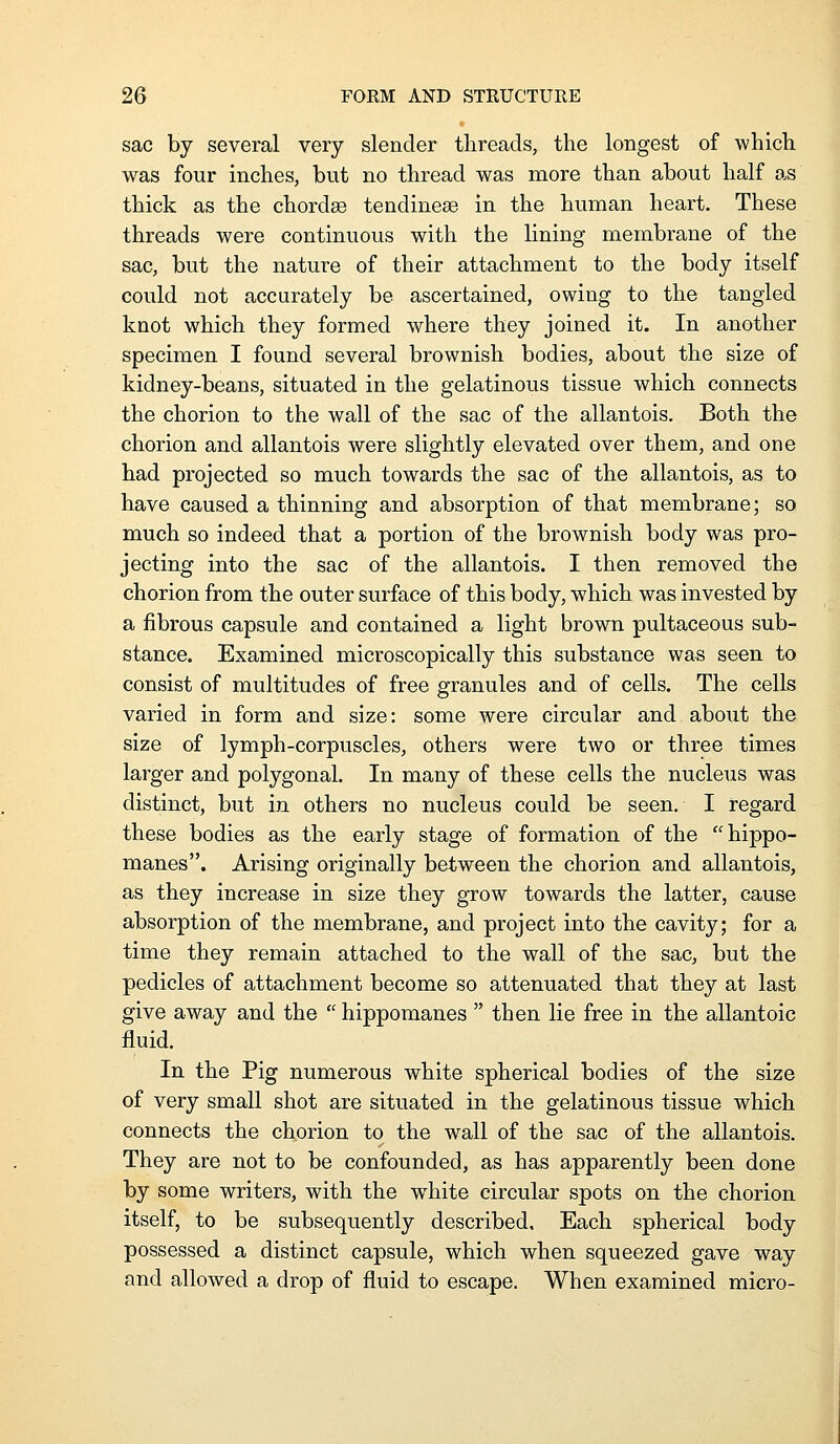 sac by several very slender threads, the longest of which was four inches, but no thread was more than about half as thick as the chordae tendinese in the human heart. These threads were continuous with the lining membrane of the sac, but the nature of their attachment to the body itself could not accurately be ascertained, owing to the tangled knot which they formed where they joined it. In another specimen I found several brownish bodies, about the size of kidney-beans, situated in the gelatinous tissue which connects the chorion to the wall of the sac of the allantois. Both the chorion and allantois were slightly elevated over them, and one had projected so much towards the sac of the allantois, as to have caused a thinning and absorption of that membrane; so much so indeed that a portion of the brownish body was pro- jecting into the sac of the allantois. I then removed the chorion from the outer surface of this body, which was invested by a fibrous capsule and contained a light brown pultaceous sub- stance. Examined microscopically this substance was seen to consist of multitudes of free granules and of cells. The cells varied in form and size: some were circular and about the size of lymph-corpuscles, others were two or three times larger and polygonal. In many of these cells the nucleus was distinct, but in others no nucleus could be seen. I regard these bodies as the early stage of formation of the 'hippo- manes. Arising originally between the chorion and allantois, as they increase in size they grow towards the latter, cause absorption of the membrane, and project into the cavity; for a time they remain attached to the wall of the sac, but the pedicles of attachment become so attenuated that they at last give away and the  hippomanes  then lie free in the allantoic fluid. In the Pig numerous white spherical bodies of the size of very small shot are situated in the gelatinous tissue which connects the chorion to the wall of the sac of the allantois. They are not to be confounded, as has apparently been done by some writers, with the w^hite circular spots on the chorion itself, to be subsequently described. Each spherical body possessed a distinct capsule, which when squeezed gave way and allowed a drop of fluid to escape. When examined micro-
