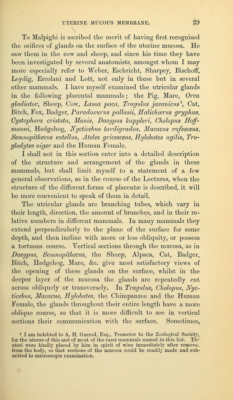 \ To Malpighi is ascribed the merit of having first recognised the orifices of glands on the surface of the uterine mucosa. He saw them in the cow and sheep, and since his time they have been investigated by several anatomists, amongst whom I may more especially refer to Weber, Eschricht, Sharpey, Bischoff, Leydig, Ercolani and Lott, not only in these but in several other mammals. I have myself examined the utricular glands in the following placental mammals; the Pig, Mare, Orca gladiator, Sheep, Cow, Lama paca, Tragulus javanicus^, Cat, Bitch, Fox, Badger, Paradoxurus pallasii, Halichoerus gryphus, Gystophora cristata, Manis, Dasypus kappleri, Cholopus Hoff- manni, Hedgehog, Nycticebus tar^digradus, Macacus rufescens, Semnopithecus entellus, Ateles gricescens, Hylohates agilis, Tro- glodytes niger and the Human Female. I shall not in this section enter into a detailed description of the stnicture and arrangement of the glands in these mammals, but shall limit myself to a statement of a few general observations, as in the course of the Lectures, when the structure of the different forms of placentae is described, it will be more convenient to speak of them in detail. The utricular glands are branching tubes, which vary in their length, direction, the amount of branches, and in their re- lative numbers in different mammals. In many mammals they extend perpendicularly to the plane of the surface for some depth, and then incline with more or less obliquity, or possess a tortuous course. Vertical sections through the mucosa, as in Dasypus, Semnopithecus, the Sheep, Alpaca, Cat, Badger, Bitch, Hedgehog, Mare, &c. give most satisfactory views of the opening of these glands on the surface, whilst in the deeper layer of the mucosa the glands are repeatedly cut across obliquely or transversely. In Tragulus, Cholopus, Nyc- ticebus, Macacus, Hylohates, the Chimpanzee and the Human Female, the glands throughout their entire length have a more oblique course, so that it is more difficult to see in vertical sections their communication with the surface. Sometimes, 1 I am indebted to A. H. Garrod, Esq., Prosector to the Zoological Society, for the titenis o^ this and of most of the rarer mammals named in this list. Thr uteri were kindly placed by him in spirit of wine immediately after remova. from the body, so that sections of the mucosa could be readily made and sub- mitted to microscopic examination.