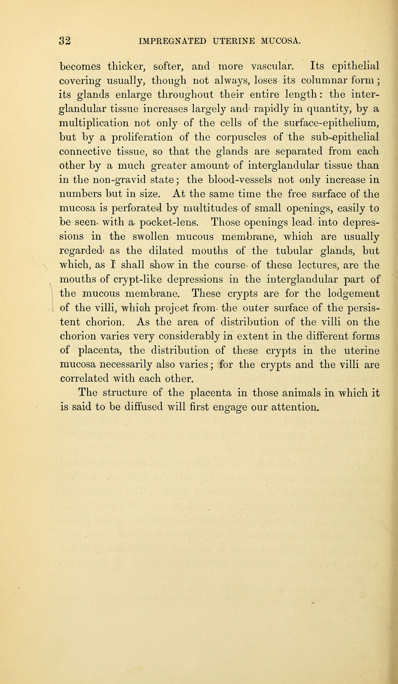 becomes thicker, softer, and more vascular. Its epithelial covering usually, though not always, loses its columnar form; its glands enlarge throughout their entire length: the inter- glandular tissue increases largely and- rapidly in quantity, by a multiplication not only of the cells of the surface-epithelium, but by a proliferation of the corpuscles of the sub-epithelial connective tissue, so that the glands are separated from each other by a much greater amount- of interglandular tissue than in the non-gravid state; the blood-vessels not only increase in numbers but in size. At the same time the free surface of the mucosa is perforated by multitudes of small openings, easily to be seen, with a- pooket-lens. Those openings lead- into depres- sions in the swollen mucous membrane, which are usually regarded* as the dilated mouths of the tubular glands, but which, as I shall show in the course, of these lectures, are the mouths of crypt-like depressions in the interglandular part of the mucous membrane. These crypts are for the lodgement of the villi, which projeet from- the outer surface of the persis- tent chorion. As the area of distribution of the villi on the chorion varies very considerably in extent in the different forms of placenta, the distribution of these crypts in the uterine mucosa necessarily also varies; for the crypts and the villi are correlated with each other. The structure of the placenta in those animals in which it is said to be diffused will first engage our attention.