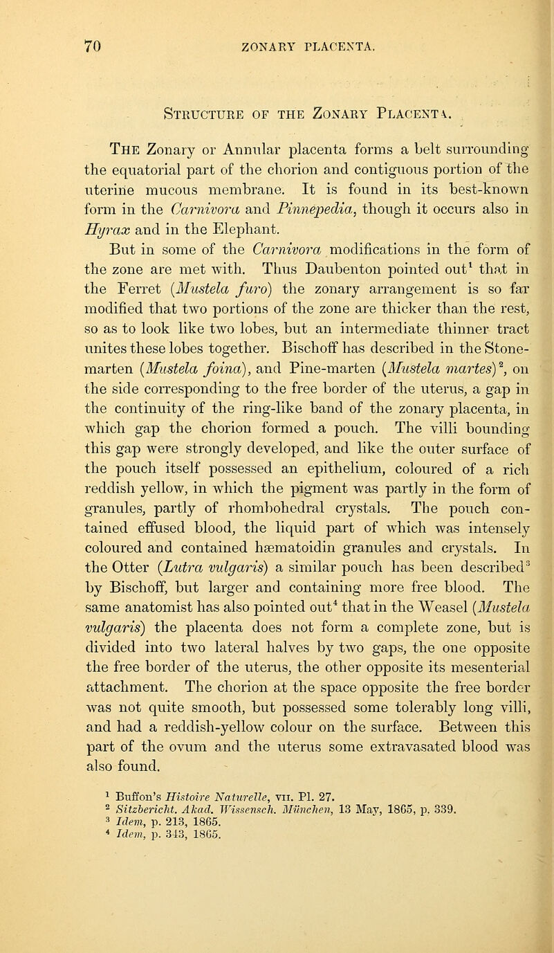 Structure of the Zonary Placent\. The Zonary or Annular placenta forms a belt surrounding the equatorial part of the chorion and contiguous portion of the uteriiie mucous membrane. It is found in its best-known form in the Carnivora and Pinnepedia, though it occurs also in Hyrax and in the Elephant. But in some of the Carnivora modifications in the form of the zone are met with. Thus Daubenton pointed out^ that in the Ferret {Mustela fmv) the zonary arrangement is so far modified that two portions of the zone are thicker than the rest, so as to look like two lobes, but an intermediate thinner tract unites these lobes together. Bischoff has described in the Stone- marten {Mustela foina), and Pine-marten {Mustela martesY, on the side corresponding to the free border of the uterus, a gap in the continuity of the ring-like band of the zonary placenta, in which gap the chorion formed a pouch. The villi bounding this gap were strongly developed, and like the outer surface of the pouch itself possessed an epithelium, coloured of a rich reddish yellow, in which the pigment was partly in the form of granules, partly of rhombohedral crystals. The pouch con- tained effused blood, the liquid part of which was intensely coloured and contained hsematoidin granules and crystals. In the Otter (Lutra vulgaris) a similar pouch has been described^ by Bischoff, but larger and containing more free blood. The same anatomist has also pointed out* that in the Weasel {Mustela vulgaris) the placenta does not form a complete zone, but is divided into two lateral halves by two gaps, the one opposite the free border of the uterus, the other opposite its mesenterial attachment. The chorion at the space opposite the free border was not quite smooth, but possessed some tolerably long villi, and had a reddish-yellow colour on the surface. Between this part of the ovum and the uterus some extravasated blood was also found. ^ Buffon's Histoire Nahirelle, vii. PI. 27. 2 Sitzbericht. Akacl. Wissensch. Muvchen, 13 May, 1865, p. 339. 3 Idem, p. 213, 1865. * Idem, p. 3-13, 1865.