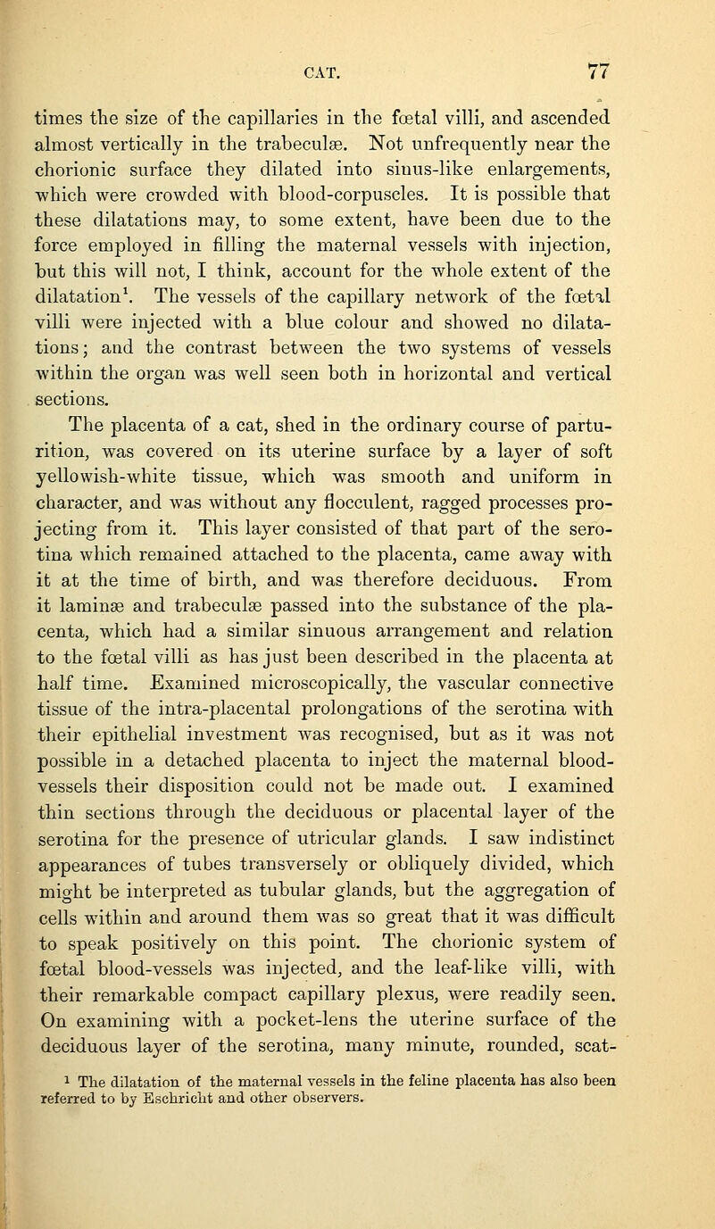 times the size of the capillaries in the foetal villi, and ascended almost vertically in the trabeculae. Not unfrequently near the chorionic surface they dilated into sinus-like enlargements, which were crowded with blood-corpuscles. It is possible that these dilatations may, to some extent, have been due to the force employed in filling the maternal vessels with injection, but this will not, I think, account for the whole extent of the dilatation\ The vessels of the capillary network of the foetal villi were injected with a blue colour and showed no dilata- tions ; and the contrast between the two systems of vessels within the organ was well seen both in horizontal and vertical sections. The placenta of a cat, shed in the ordinary course of partu- rition, was covered on its uterine surface by a layer of soft yellowish-white tissue, which was smooth and uniform in charactei', and was without any flocculent, ragged processes pro- jecting from it. This layer consisted of that part of the sero- tina which remained attached to the placenta, came away with it at the time of birth, and was therefore deciduous. From it laminae and trabeculse passed into the substance of the pla- centa, which had a similar sinuous arrangement and relation to the foetal villi as has just been described in the placenta at half time. Examined microscopically, the vascular connective tissue of the intra-placental prolongations of the serotina with their epithelial investment was recognised, but as it was not possible in a detached placenta to inject the maternal blood- vessels their disposition could not be made out. I examined thin sections through the deciduous or placental layer of the serotina for the presence of utricular glands. I saw indistinct appearances of tubes transversely or obliquely divided, which mio-ht be interpreted as tubular glands, but the aggregation of cells within and around them was so great that it was difficult to speak positively on this point. The chorionic system of foetal blood-vessels was injected, and the leaf-like villi, with their remarkable compact capillary plexus, were readily seen. On examining with a pocket-lens the uterine surface of the deciduous layer of the serotina, many minute, rounded, scat- 1 The dilatation of the maternal vessels in the feline placenta has also been referred to by Eschricht and other observers.