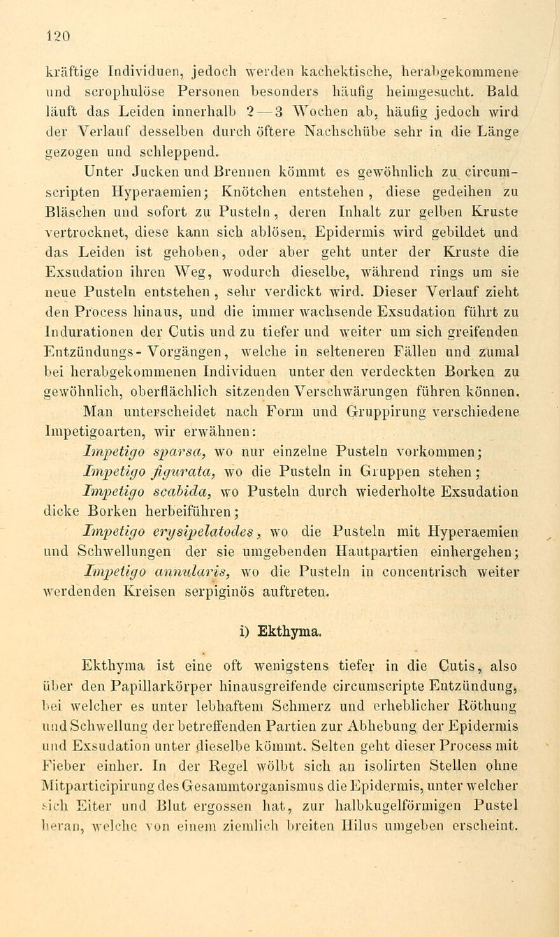 kräftige Individuen, jedoch werden kachektische, herabgekommene und scrophulöse Personen besonders häufig heimgesucht. Bald läuft das Leiden innerhalb 2 — 3 Wochen ab, häufig jedoch wird der Verlauf desselben durch öftere Nachschübe sehr in die Länge gezogen und schleppend. Unter Jucken und Brennen kömmt es gewöhnlich zu circum- scripten Hyperaemien; Knötchen entstehen , diese gedeihen zu Bläschen und sofort zu Pusteln, deren Inhalt zur gelben Kruste vertrocknet, diese kann sich ablösen, Epidermis wird gebildet und das Leiden ist gehoben, oder aber geht unter der Kruste die Exsudation ihren Weg, wodurch dieselbe, während rings um sie neue Pusteln entstehen , sehr verdickt wird. Dieser Verlauf zieht den Process hinaus, und die immer wachsende Exsudation führt zu Indurationen der Cutis und zu tiefer und weiter um sich greifenden Entzündungs-Vorgängen, welche in selteneren Fällen und zumal bei herabgekommenen Individuen unter den verdeckten Borken zu gewöhnlich, oberflächlich sitzenden Verschwärungen führen können. Man unterscheidet nach Form und Gruppirung verschiedene Impetigoarten, wir erwähnen: Impetigo sparsa, wo nur einzelne Pusteln vorkommen; Impetigo figurata, wo die Pusteln in Gruppen stehen; Impetigo scahida, wo Pusteln durch wiederholte Exsudation dicke Borken herbeiführen; Impetigo erysipelatodes, wo die Pusteln mit Hyperaemien und Schwellungen der sie umgebenden Hautpartien einhergehen; Impetigo annularis, wo die Pusteln in concentrisch weiter werdenden Kreisen serpiginös auftreten. i) Ekthyma. Ekthyma ist eine oft wenigstens tiefer in die Cutis, also über den Papillarkörper hinausgreifende circumscripte Entzündung, bei welcher es unter lebhaftem Schmerz und erheblicher Röthung und Schwellung derbetreffenden Partien zur Abhebung der Epidermis und Exsudation unter dieselbe kömmt. Selten geht dieser Process mit P^ieber einher. In der Regel wölbt sich an isolirten Stellen ohne Mitparticipirung des Gesammtorganismus die Epidermis, unter welcher .'-ich Eiter und Blu^t ergossen hat, zur halbkugelförmigen Pustel heran, welche von einem ziemlich breiten Hilus umgeben erscheint.