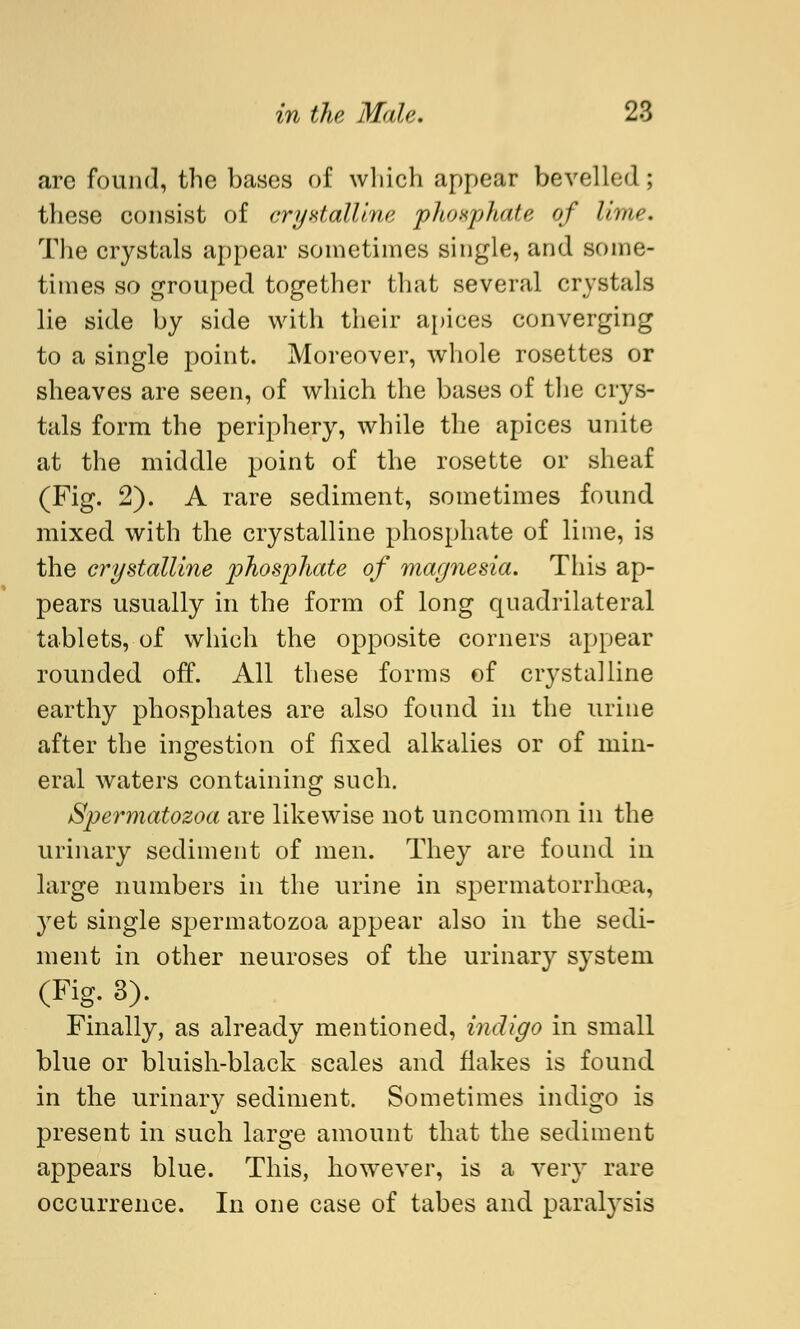 arc found, the bases of which appear bevelled ; these consist of crystalline phosphate of lime. The crystals appear sometimes single, and some- times so grouped together that several crystals lie side by side with their apices converging to a single point. Moreover, whole rosettes or sheaves are seen, of which the bases of the crys- tals form the periphery, while the apices unite at the middle point of the rosette or sheaf (Fig. 2). A rare sediment, sometimes found mixed with the crystalline phosphate of lime, is the crystalline phosphate of magnesia. This ap- pears usually in the form of long quadrilateral tablets, of which the opposite corners appear rounded off. All these forms of crystalline earthy phosphates are also found in the urine after the ingestion of fixed alkalies or of min- eral waters containing such. Spermatozoa are likewise not uncommon in the urinary sediment of men. They are found in large numbers in the urine in spermatorrhoea, yet single spermatozoa appear also in the sedi- ment in other neuroses of the urinary system (Fig. 3). Finally, as already mentioned, indigo in small blue or bluish-black scales and flakes is found in the urinary sediment. Sometimes indigo is present in such large amount that the sediment appears blue. This, however, is a very rare occurrence. In one case of tabes and paralysis