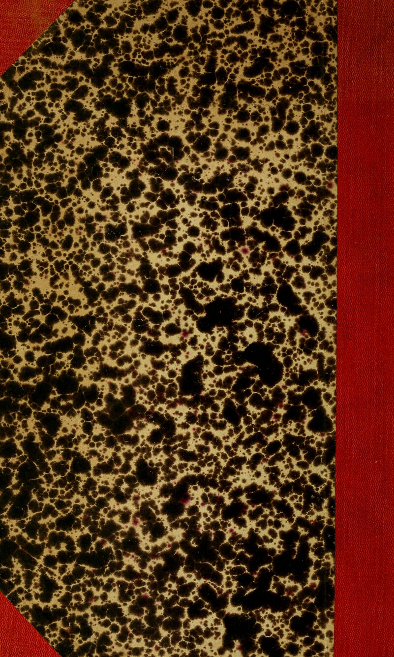 y-\¥^ «< ^^l >m. 'S^'X \