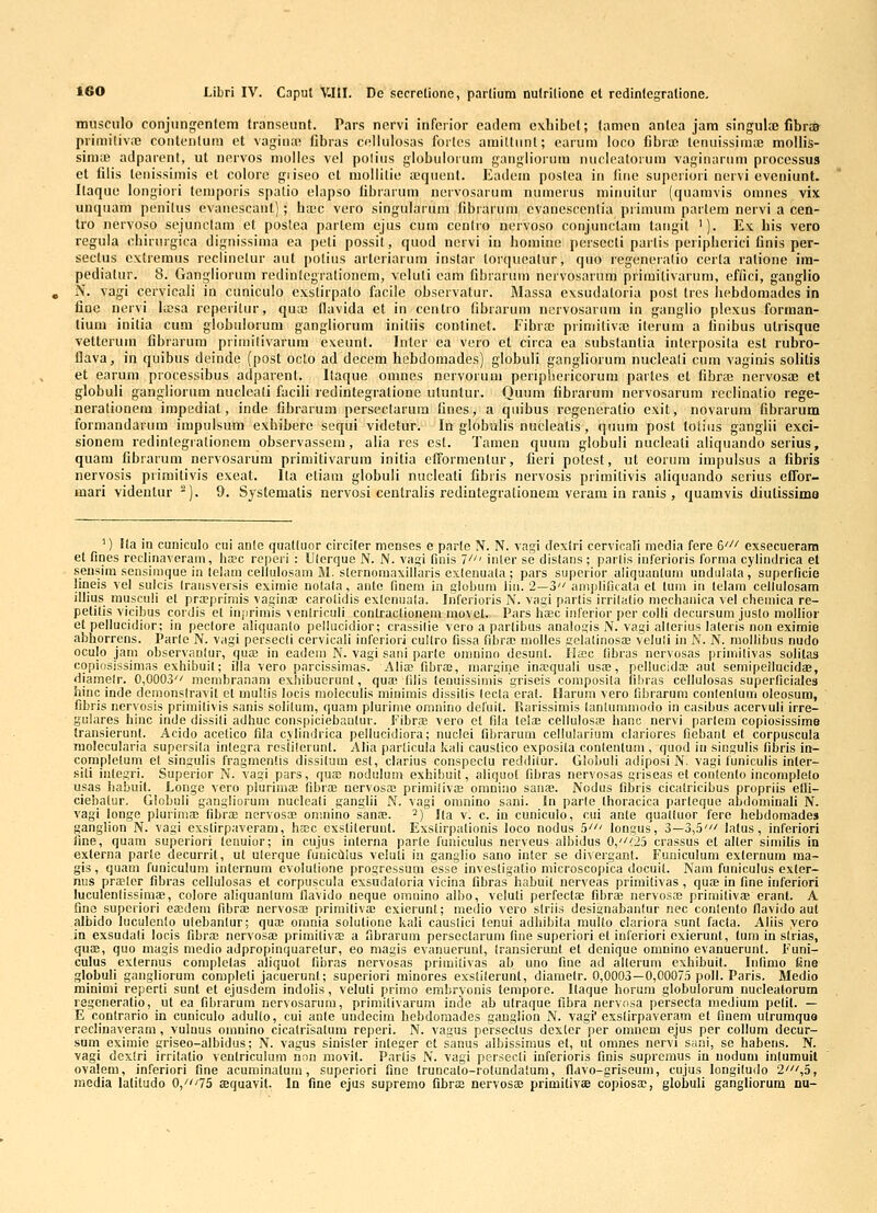 miisculo conjungenlcm transeunt. Pars nervi inferior eadem exbibct; lamen antea jara singula; fibr* primiliv;T5 contciilutu et vagin;e fibras ccllulosas forlcs amillunl; carum ioco fibra; tcnuissimai moUis- sima; adparcnt, ut ncrvos mollcs vel polius g!obub)ium gangiiorum nucleatorum vaginarum processus et filis teiiissimis ct coiorc giisco ct moililie «quent. Eadcm poslea in fine supcriori nervi eveniunt. Ilaquc longiori lcniporis spalio clapso fibrarum nervosarum numerus minuilur (quamvis omnes vix unquam pcnilus evaiiescant); ha!c vero singularum fibrarum cvanesccnlia prinnim parlera nervi a cen- tro nervoso sejunclam ct poslca partera ejus cum ccnlro ncrvoso conjunclam taiigit '). Ex bis vero regula cbirurgica dignissima ea peti possit, quod nervi in bomiue persecti parlis pcripheiici finis per- seclus cxtreraus reclinelur aut polius arteriarum instar torqucalur, quo regencralio cerla ralione im- pedialiir. 8. Gangliorura redinlcgralionem, vcluli cam fibrarum nervosarum primitivarura, cffici, ganglio N. vagi cervicali in cuniculo exslirpalo facile observatur. Massa exsudatoria post tres Iiebdoraadcs in fioc ncrvi lasa rcperilur, quae flavida et in centro fibraruni nervosarum in ganglio plexus forman- tiura initia cura globulorum gangiiorura initiis conlinet. Fibra; priniitivaj iterura a linibus utrisque vetteruin fibrarura primilivaruni exeunt. Inler ea vcro et circa ea subslantia iiilerposila est rubro- flava, in quibus deinde (post oclo ad decem liebdomades) globuli gangborura nucleali cura vaginis solitis et earum processibus adparenl. Ilaque omnes ncrvorum periphericorura partes et fibra; nervosa! et globuli gangliorum nucleali facili redintegralione utnnlur. Quura fibrarura nervosarura rcclinatio rege- nerationem impediat, inde fibrarura perseclarum fines, a qiiibus regeneratio exit, novarum fibrarum formandarum impulsum exhiberc sequi videtur. In globulis nucleatis, quum post totiiis ganglii exci- sionera redinlegralioncm observassera, alia res esl. Taraen quura globuli nucleati aliquando serius, quam fibrarura nervosarum primitivarura initia ciTormentur, fieri polest, ut eorum irapulsus a fibris nervosis primitivis cxeat. lla etiaiu globuli nucleati fibris nervosis prirailivis aliquando serius elTor- mari videntur ^). 9. Systematis nervosi centralis redintegrationem veram ia ranis , quamvis diutissima ') Ila in cuniculo eiii anle qijaltuor circiler menses e parle N. N. vagi dexlri cervicali media fere (i' exsecueram et fines reclinaveram, ha?c reperi : Ulcrque N. N. vagi finis 1' iiiler se dislans; parlis iiijerioris forma cyliiuJrica et seusiin sensiiiique in lelam cellulosain M. slernoraaxiliaris exlenuala ; pars supcrior aliquanluni undulala, superficie lineis vel sulcis Iraiisversis exiraie uolala, anle finem in glohum liii. 2—3 amplificala et luiii in lelara cellulosam illius musculi et pra?primis vaginfe carolidis exlenuala. Inferioris N. vagi parlis irrilalio niechaiiica vel cheinica re- pelilis vicihus cordis et injirimis vcnlriculi conlractionem movet. Pars hsec iuferior per colli decursura juslo mollior et pellucidior; in peclore aliquanlo pellucidior; crassilie vero a parlibus analogis N. vagi allerius laleris non exiraie abhorrens. Parle N. vagi persccli cervicali inferiori cuHro fissa fibra; molles gdalinosaa veluli in N. N. mollibus nudo oculo jam ohservanlur, qua? in eadeiii N. vagi sani parte omnino desunl. I!a;c fibras nervosas primitivas solitas copiosissiraas exhibuil; illa vero parcissimas. Alias fibrae, marsine ina;quali uss, pellucida; aut seraipeilucidaB, diamelr. 0,0003 membranam exhibuerunt, qua; filis tenuissiniis griseis composila iihias cellulosas superficiales hinc inde demonslravit et inuUis locis raoleculis minirais dissilis lecla eral. Harum vero fibrarum conlenlum oleosum, fibris nervosis prirailivis sanis solilura, quam plurinie oranino deluit. Karissimis lanUiramodo in casibus acervuli irre- gulares hinc inde dissili adhuc conspiciebaatur. Fibrae vero et fila telaj cellulos;e hanc nervi parlera copiosissime transierunt. Acido acelico fila cylindrica pellucidiora; nuclei fibrarum cellularium clariores fiebant et corpuscula raolecularia supersila inlegra rcsiilerunl. Alia particula kali causlico exposila contentuni, quod iu singulis fiiiris in- compleluni et singulis fragmenlis dissilum esl, clarius conspeclu reddilur. Globuli adiposi N. vagi luniculis inler- sili integri. Superior N. vagi pars, qua; nodulum exhibuil, aliquot fibras nervosas griseas et conlenlo ineomplelo usas hahuit. Longe vero pluriraaB fihra; nervosa; primiiiva; oraniiio sana;. Nodus fibris cicatrieihus propriis elli- ciebaliir. Glcbuli gangliorura nucleali ganglii N. vagi omnino sani. In parle thoraeica parleque ahdominali N. vagi longe plurima; fihrae nervosa; omnino sana;. ^) Ila v. c. in cunieulo, cui anle qualluor fere hebdoraade» ganglion N. vagi exslirpaveram, hscc cxsliterunt. Exslirpationis loeo nodus ^' longus, 3—3,.5' lalus, inferiori fine, quam superiori tenuior; in cujus interna parte funiculus nerveus albidus Oj^/^S crassus et alter sirailis in externa parle decurrit, ut ulerque fuuicCilus veluii iu ganglio sano inter se divergant. Fuuiculum exlernum ma- gis, quam funiculum internura evolulione progressum esse invesligatio microscopica docuit. Nara funiculus exter- nus praeler fibras cellulosas et corpuscula exsndaloria vicina fibras habuit nerveas primitivas, qua in fine inferiori luculenlissimae, colore aliquanlura flavido neque omnino all)0, veluti perfectaD fihrae nervosae priraitivae erant. A Qne superiori eaedem fibra? nervosae primilivae cxierunt; medio vero slriis designabanlur nec conlenlo flavido aut albido luculento ulehanlur; quae omnia solulioue kali causlici lcnui adhibita raulto clariora sunt facta. Aliis yero in exsudali locis fibraj nervosa; primilivae a fibrarum perscclarum fine superiori et inferiori exierunt, tura in slrias, quae, quo magis medio adpropinquarelur, eo magis evanuerunl, Iransieruul et denique oninino evanuerunt. Funi- culus externus complelas aliquot fibras nervosas priraitivas ab uno fine ad allerum exhibuil. Iiifimo fine glohuli gangliorum compleli jacuerunt; supcriori minores exstiierunl, diamelr. 0,0003—0,0007.t poll. Paris. Medio minirai reperti sunt et ejusdem indolis, veluli prinio embryonis tempore. llaque horum globulorura nucleatorum regeneratio, ut ea fihrarum nervosariim, primiiivarum inde ab ulraque fihra nervosa persecta medium petit. — E conlrario in cuniculo adulto, cui anle undecira hebdoraades ganglion N. vagi'exslirpaveram et finem utrumque reclinaveram, vulnus omnino cicalrrsatura reperi. N. vagus persectus dexler per omnem ejus per collum decur- sum eximie griseo-albidus; N. vagus sinister integer et sanus albissimus el, ut omnes nervi sani, se hahens. N. vagi dexlri irrilatio veulriculum non movit. Partis N. vagi persecli iuferioris finis suprcmus in nodum inlumuit ovalem, inferiori fine acuminatum, supcriori fine truncalo-rotundatura, navo-griseura, cujus longiludo 2',5, media laliludo 0,/75 sequavit. In fine ejus supremo fibrae nervosa; primitivse copiosa;, globuli gangliorura nu-