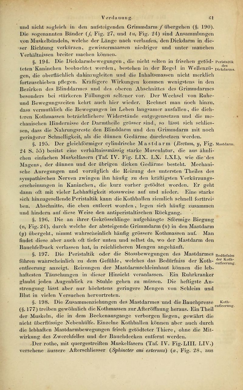 und nicht sogleich in den aulsteigenden Grimmdarm / übergehen (§. 190). Die sogenannten Bänder (/\ Fig. 27, und tu^ Fig. 24) sind Ansammlungen von Mtiskelbündeln, welche der Länge nach verlaufen, den Dickdarm in die- ser Richtung verkürzen, gewissei'maassen niedriger und unter manchen Verhältnissen breiter machen können. §. 194. Die Dickdarmbewegungen , die nicht selten in frischen getöd- Peristaltik teten'Kaninchen beobachtet werden, bestehen in der Regel in Wellenzü-uickdanng. o-en, die oberflächlich dahinzugleiten und die Inhaltsmassen nicht merklich fortzuschieben pflegen. Kraftigere Wirkungen kommen wenigstens in den Bezirken des Blinddarmes und des oberen Abschnittes des Grimmdarmes besonders bei stärkeren Füllungen seltener vor. Der Wechsel von Ruhe- und Bewegungszeiten kehrt aiich hier wieder. Rechnet man noch hinzu, dass vermuthlich die Bewegungen im Leben langsamer ausfallen, die dich- teren Kothmassen beträchtlichere Widerstände entgegensetzen und die me- chanischen Hindernisse der Darmtheile grösser sind, so lässt sich schlies- sen, dass die Nahrungsreste den Blinddarm und den Grimmdarm mit noch o-erin&erer Schnelligkeit, als die dünnen Gedärme dxirchsetzen werden. §. 195. Der gleichförmiger cylindrische Mastdarm {Rectum^ y, Fig. Mastdarm. 24 S. 55) besitzt eine verhältnissmässig starke Musculatur, die aus ähnli- chen einfachen Muskelfasern (Taf. IV. Fig. LIX. LX. LXL), wie die des Magens, der dünnen und der übrigen dicken Gedärme besteht. Mechani- sche Anregungen und vorzüglich die Reizung des untersten Theiles des sympathischen Nerven zwingen ihn häufig zui den kräftigsten Verkürzungs- ei'scheintmgen in Kaninchen, die kurz vorher getödtet worden. Er geht dann oft mit vieler Lebhaftigkeit stossweise auf und nieder. Eine starke sich hinzugesellende Peristaltik kann die Kothballen ziemlich schnell forttrei- ben. Abschnitte, die eben entleert worden, legen sich häufig zusammen und hindern auf diese Weise den antiperistaltischen Rückgang. §. 196. Die an ihrer Gekrösschlinge aufgehängte Sförmige Biegung (u, Fig. 24), durch welche der absteigende Grimradarm (u) in den Mastdarm iy) übergeht, nimmt wahrscheinlich häufig grössere Kothmassen auf. Man findet diese aber auch oft tiefer unten und selbst da, wo der Mastdarm den Bauchfellsack verlassen hat, in reichlicheren Mengen angehäiift. §. 197. Die Peristaltik oder die Stossbewegungen des Mastdarmes Beumfuiss führen wahrscheinlich zu dem Gefühle, welches das Bedürfniss der Koth- e^.^tieer'un^ entleenuig anzeigt. Reizungen der Mastdarmschleimhaut können die leb- haftesten Täuschungen in dieser Hinsicht veranlassen. Ein Ruhrkranker glaubt jeden Augenblick zu Stuhle gehen zu müssen. Die heftigste An- strengung lässt aber nur höchstens geringere Mengen von Schleim und Blut in vielen Versuchen hervortreten. §. 198. Die Zusammenziehungen des Mastdarmes und die Bauchpresse Kotii- (§. 177) treiben gewöhnlich die Kothmassen zur After Öffnung heraus. EinTheil der Muskeln, die in dem Beckenausgange verborgen liegen, gewährt die nicht überflüssige Nebenhülfe. Einzelne Kothballen können aber auch durch die lebhaften Mastdarmbewegungen frisch getödteter Thiere, ohne die Mit- wirkung des Zwerchfelles und der Bauchdecken entfernt werden. Der rothe, mit quergestreiften Muskelfasern (Taf. IV. Fig. LIII. LIV.)