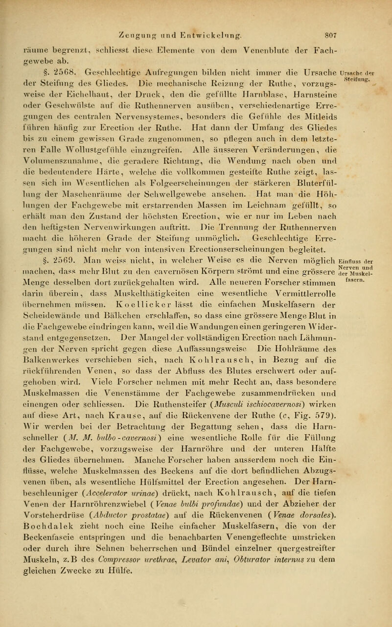 räume begrenzt, schlicsst diese Kiemente von dem Venenbliite der Fach- gewebe ab. §. 2568. GePchleclitigc Aui'regungen bilden nicht immer die Ursache Ursache der der Steifnng des Gliedes. Die mechanische Reizung der Ruthe, Vorzugs- ' ^'^ weise der Kiclielhaut, der Druck, den die gefüllte Harnblase, Harnsteine oder Geschwülste auf die Rutheunerven ausüben, verschiedenartige Erre- guugen des centralen Nervensystemes, besonders die Gefühle des Mitleids führen häufig zur Erection der Ruthe. Hat dann der Umfang des Gliedes bis zu einem gewissen Grade zugenommen, so pflegen auch in dem letzte- ren Falle Wollustgefühle einzugreifen. Alle äusseren Veränderungen, die Volumenszunahme, die geradere Richtung, die Wendung nach oben und die bedeutendere Harte, welche die vollkommen gesteifte Ruthe zeigt, las- sen sich im Wesentlichen als Folgeerscheinungen der stärkeren Bluterfül- lung der jMaschenräume der Schwellgewebe ansehen. Hat man die Höh- lungen der Fachgewebe mit erstarrenden Massen im Leichnam gefüllt, so erhält man den Zustand der höchsten Erection, wie er nur im Leben nach den heftigsten Nervenwirkungen auftritt. Die Trennung der Ruthennerven macht die höheren Grade der Steifung immöglich. Geschlechtige Erre- gungen sind nicht mehr von intensiven Erectionserscheinungen begleitet. §. 2569. Man weiss nicht, in welcher Weise es die Nerven möglich Einfluss der machen, dass mehr Blut zu den cavernösen Körpern strömt und eine grössei-e deTaiüskei- Menge desselben dort zurückgehalten wird. Alle neueren Forscher stimmen f^^^^- darin überein, dass Muskelthätigkeiten eine wesentliche Vermittlerrolle übernehmen müssen. K o eUicker lässt die einfachen Muskelfasern der Scheidewände und Bälkchen erschlaffen, so dass eine grössere Menge Blut in die Fachgewebe eindringen kann, weil die Wandungen einen geringeren Wider- stand entgegensetzen. Der Mangel der vollständigen Erection nach Lähmun- gen der Nerven spricht gegen diese Auffassungsweiso Die Hohlräume des Balkenwerkes verschieben sich, nach Kohl rausch, in Bezug auf die rückführenden Venen, so dass der Abfluss des Blutes erschwert oder auf- gelioben wird. Viele P'orscher nehmen mit mehr Recht an, dass besondere ^[uskelmassen die Venenstämme der Fachgewebe zusammendrücken und einengen oder schliessen. Die Ruthensteifer (^Musculi ischiocavernosi) wirken auf dietie Art, nach Krause, auf die Rückenvene der Ruthe (c, Fig. 579). Wir werden bei der Betrachtung der Begattung sehen, dass die Harn- schneller (il/. M. bulbo -cavernosi) eine wesentliche Rolle für die Füllung der Fachgewebe, vorzugsweise der Harnröhre und der unteren Hälfte des Gliedes übernehmen. Manche Forscher haben ausserdem noch die Ein- flüsse, welche Muskelmassen des Beckens auf die dort befindlichen Abzugs- venen üben, als wesentliche Hülfsmittel der Erection angesehen. Der Harn- beschleuniger (Aceelerator urinae) di'ückt, nach Kohlrausch, auf die tiefen Veupu der Harnröhrenzwiebel ( Venae hulbi profimdae) und der Abzieher der Vorsteherdrüse (^Abductor prostatae) auf die Rückenvenen (^Venae dorsales). Bochdalek zieht noch eine Reihe einfacher Muskelfasern, die von der Beckenfascie entspringen und die benachbarten Venengeflechte umstricken oder durch ihre Sehnen beherrschen und Bündel einzelner quergestreifter Muskeln, z. B des Compressor urethrae^ Levator an/, Obturator internus zu dem gleichen Zwecke zu Hülfe.