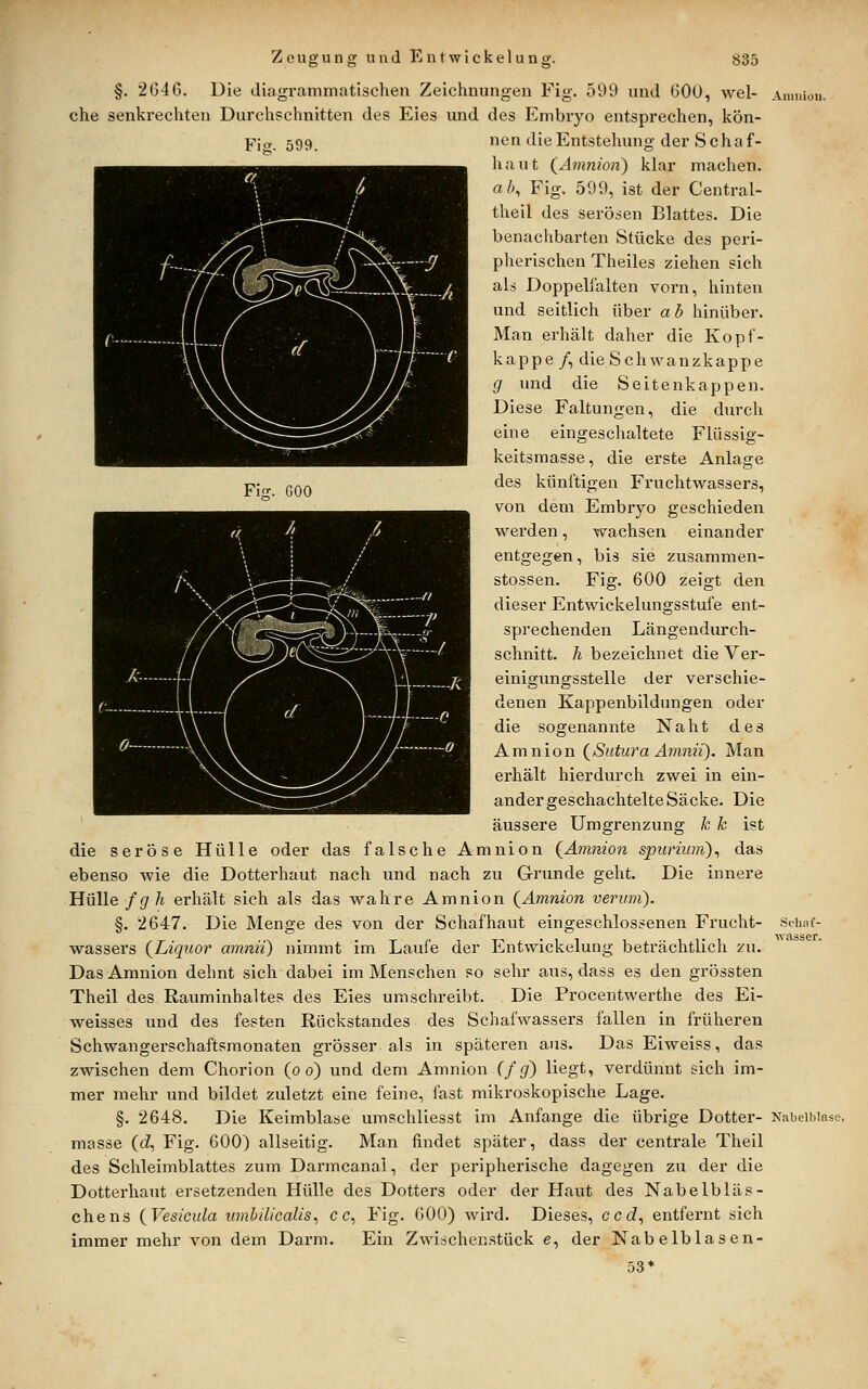 §. 2646. Die diagrammatischeu Zeichnungen Fig. 599 und 600, wel- che senkrechten Durchschnitten des Eies und des Embryo entsprechen, kön- pjfr. 599_ nen die Entstehung der Schaf- haut {Amnion') klar machen. all, Fig. 599, ist der Central- theil des serö.sen Blattes. Die benachbarten Stücke des peri- pherischen Theiles ziehen sich als Doppelfalten vorn, hinten und seitlich über ab hinüber. Man erhält daher die Kopf- kappe /, die Schwanzkappe g und die Seitenkappen. Diese Faltungen, die durch eine eingeschaltete Fliissig- keitsmasse, die erste Anlage des künftigen Fruchtwassers, von dem Embryo geschieden wei'den, wachsen einander entgegen, bis sie zusammen- stossen. Fig. 600 zeigt den dieser Entwickelungsstufe ent- sprechenden Längendurch- schnitt, h bezeichnet die Ver- einigungsstelle der verschie- denen Kappenbildungen oder die sogenannte Naht des Amnion {Sutura A7nnii). Man erhält hierdurch zwei in ein- ander geschachtelte Säcke. Die äussere Umgrenzung k k ist die seröse Hülle oder das falsche Amnion {Amnion spuriuin)^ das ebenso wie die Dotterhaut nach und nach zu Grunde geht. Die innere Hülle fgh erhält sich als das wahre Amnion {Amnion verum). §. 2647. Die Menge des von der Schaf haut eingeschlossenen Frucht- wassers {Liquor amnii) nimmt im Laufe der Entwickelung beträchtlich zu. Das Amnion dehnt sich dabei im Menschen so sehr aus, dass es den grössten Theil des Rauminhaltes des Eies umschreibt. Die Procentwerthe des Ei- weisses und des festen Rückstandes des Schafwassers fallen in früheren Schwangerschaftsmonaten grösser als in späteren aus. DasEiweiss, das zwischen dem Chorion {o o) und dem Amnion {f g) liegt, verdünnt sich im- mer mehr und bildet zuletzt eine feine, fast mikroskopische Lage. §. 2648. Die Keimblase umschliesst im Anfange die übrige Dotter- masse (tf, Fig. 600) allseitig. Man findet später, dass der centrale Theil des Schleimblattes zum Darmcanal, der peripherische dagegen zu der die Dotterhaut ersetzenden Hülle des Dotters oder der Haut des Nabelbläs- chens {Vesicula imibilicalis^ c c, Fig. GOO) wird. Dieses, ccd., entfernt sich immer mehr von dem Darm. Ein Zwischenstück e, der Nabelblasen- 53* Schnf- wasser.