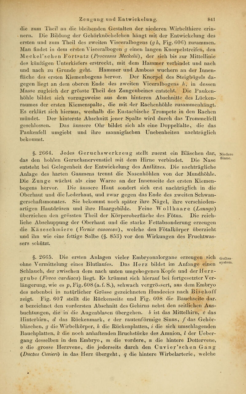 die zum Tlieil au die bleibenden Gestalten der niederen Wirbelthiere erin- nern. Die Bildung der Gehörknöchelchen hängt mit der Entwickelung des ersten nnd zum Theil des zweiten Visceralbogens (g h, Fig. G06) zusammen. Man findet in dem ersten A'isceralbogen g einen langen Knorpelstreifen, den Meckel'schen Fortsatz (Processus Meckelii), der sich bis zur Mittellinie des künftigen Unterkiefers erstreckt, mit dem Hammer verbindet und nach und nach zu Grunde geht. Hammer und Amboss wuchern an der Innen- fläche des ersten Kiemenbogens hervor. Der Knorpel des Steigbügels da- gegen liegt an dem oberen Ende des zweiten Viceralbogens /i, in dessen Masse zugleich der grösste Theil des Zungenbeines entsteht. Die Pauken- höhle bildet sich vorzugsweise aus dem hinteren Abschnitte des Lücken- raumes der ersten Kiemenspalte, die mit der Rachenhöhle zusammenhängt. Es erklärt sich hieraus, weshalb die Eustachische Trompete in den Rachen mündet. Der hinterste Abschnitt jener Spalte wird durch das Trommelfell geschlossen. Das äussere Ohr bildet sich als eine Doppelfalte, die das Paukenfell umgiebt und ihre mannigfachen Unebenheiten nachträglich bekommt. §. 2664. Jedes Geruchswerkzeug stellt zuerst ein Bläschen dar. Niedere das den hohlen Geruchsnervenstiel mit dem Hirne verbindet. Die Nase ^'^■ entsteht bei Gelegenheit der Entwickelung des Antlitzes. Die nachträgliche Anlage des harten Gaumens trennt die Nasenhöhlen von der Mundhöhle. Die Zunge wächst als eine Warze an der Innenseite des ersten Kiemen- bogens hervor. Die äussere Haut sondert sich erst nachträglich in die Oberhaut und die Lederhaut, und zwar gegen das Ende des zweiten Schwan- gerschaftsmonates. Sie bekommt noch später ihre Nägel, ihre verschieden- artigen Hautdrüsen und ihre Haargebilde. Feine Wollhaare (Lanugo) überziehen den grössten Theil der Körperoberfläche des Fötus. Die reich- liche Abschuppung der Oberhaut und die starke Fettabsonderung erzeugen die Käseschmiere (Vernix casaeosci), welche den Fötalkörper überzieht und ihn wie eine fettige Salbe (§. 853) vor den Wirkungen des Fruchtwas- sers schützt. §. 2665. Die ersten Anlagen vieler Embryonalorgane erzeugen sich Gefäss- ohne Vermittelung eines Blutlaufes. Das Herz bildet im Anfange einen sys*^'- Schlauch, der zwischen dem nach unten umgebogenen Kopfe und der Herz- grube (Fovea cardiacd) liegt. Es krümrat sich hierauf bei fortgesetzter Ver- längerung, wie es p, Fig. 608 (a. f. S.), schwach vergrössert, aus dem Embryo des nebenbei in natürlicher Grösse gezeichneten Hundeeies nach Bischoff zeigt. Fig. 607 stellt die Rückenseite und Fig. 608 die Bauchseite dar. a bezeichnet den vordersten Abschnitt des Gehirns nebst den seitlichen Aus- buchtungen, die in die Augenblasen übergehen, b ist das Mittelhirn, c das Hinterhirn, d das Rückenmark, e der rautenföi'mige Sinus, /das Gehör- bläschen, g die Wirbelkörper, h die Rückenplatten, i die sich umschlagenden Bauchplatten, k die noch anhaftenden Bruchstücke des Amnion, l der Ueber- gang desselben in den Embryo, m die vordere, n die hintere Dottervene, 0 die grosse Herzvene, die jederseits durch den Cuvier'schen Gang (Ductus Cuvieri) in das Herz übergeht, q die hintere Wirbelarterie, welche