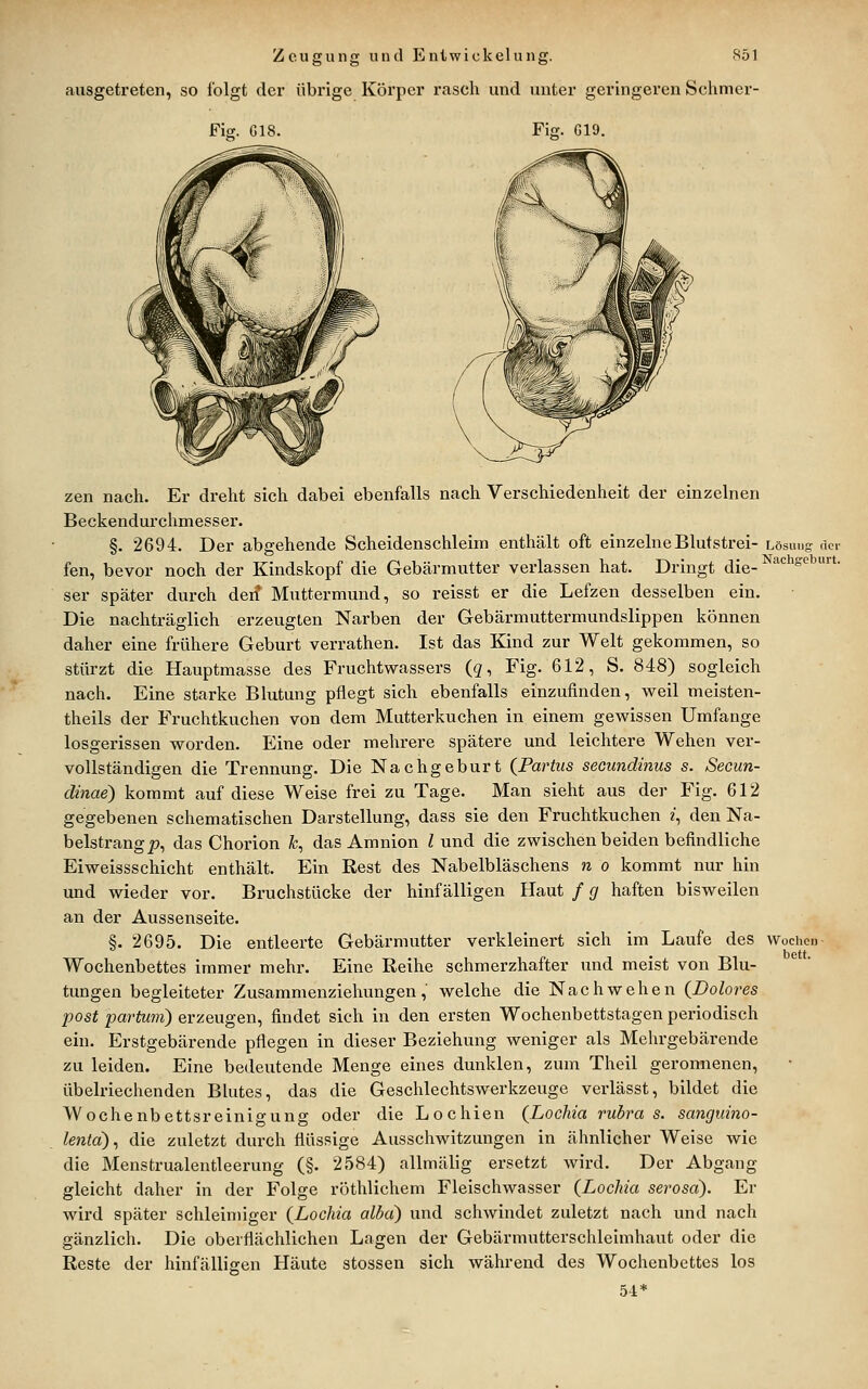 ausgetreten, so folgt der übrige Körper rasch und luiter geringeren Schmer- Fig. 018. Fig. G19. zen nach. Er dreht sich dabei ebenfalls nach Verschiedenheit der einzelnen Beckendurchmesser. §. 2694. Der abgehende Scheidenschleim enthält oft einzelneBlutstrei- Lösung der fen, bevor noch der Kindskopf die Gebärmutter verlassen hat. Dringt die- ^^ ^^  ser später durch den' Muttermund, so reisst er die Lefzen desselben ein. Die nachträglich erzeugten Narben der Gebärmuttermundslippen können daher eine frühere Geburt verrathen. Ist das Kind zur Welt gekommen, so stürzt die Hauptmasse des Fruchtwassers (g, Fig. 612, S. 848) sogleich nach. Eine starke Blutung pflegt sich ebenfalls einzufinden, weil meisten- theils der Fruchtkuchen von dem Mutterkuchen in einem gewissen Umfange losgerissen worden. Eine oder mehrere spätere und leichtere Wehen ver- vollständigen die Trennung. Die Nachgeburt (Partus seoundinus s. Secun- dinae) kommt auf diese Weise frei zu Tage. Man sieht aus der Fig. 612 gegebenen schematischen Darstellung, dass sie den Fruchtkuchen i, den Na- belstrang p, das Chorion fc, das Amnion l und die zwischen beiden befindliche Eiweissschicht enthält. Ein Rest des Nabelbläschens n o kommt nur hin und wieder vor. Bruchstücke der hinfälligen Haut / cj haften bisweilen an der Aussenseite. §. 2695. Die entleerte Gebärmutter verkleinert sich im Laufe des Wochen Wochenbettes immer mehr. Eine Reihe schmerzhafter und meist von Blu- tungen begleiteter Zusammenziehungen, welche die Nach wehen (Dolores post partu7n) erzeugen, findet sich in den ersten Wochenbettstagen periodisch ein. Erstgebärende pflegen in dieser Beziehung weniger als Mehrgebärende zu leiden. Eine bedeutende Menge eines dunklen, zum Theil geronnenen, übelriechenden Blutes, das die Geschlechtswerkzeuge verlässt, bildet die Wochenbettsreinigung oder die Lochien (Lochia rubra s. sanguino- lenta)^ die zuletzt durch flüssige Ausschwitzungen in ähnlicher Weise wie die Menstrualentleerung (§. 2584) allmälig ersetzt wird. Der Abgang gleicht daher in der Folge röthlichem Fleischwasser (Lochia serosa). Er wird später schleimiger (Lochia alba} und schwindet zuletzt nach und nach gänzlich. Die oberflächlichen Lagen der Gebärmutterschleimhaut oder die Reste der hinfälligen Häute stossen sich während des Wochenbettes los 5i*