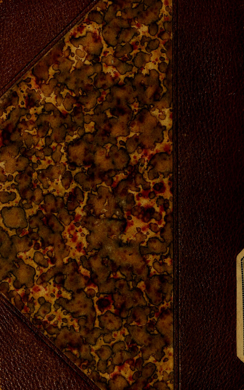 r j^ i>-i^' -v/ 1 S -A