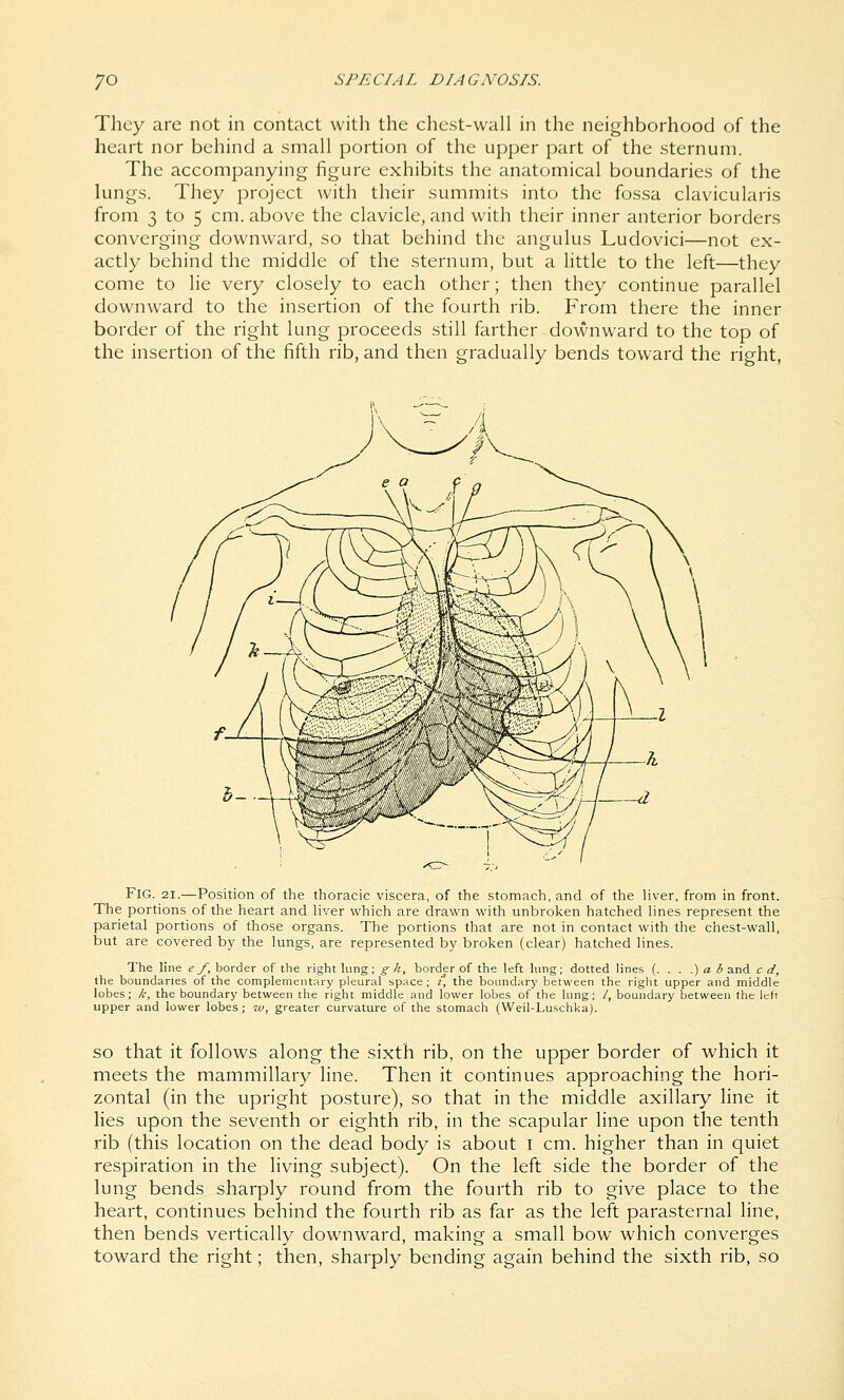 They are not in contact with the chest-wall in the neighborhood of the heart nor behind a small portion of the upper part of the sternum. The accompanying figure exhibits the anatomical boundaries of the lungs. They project with their summits into the fossa clavicularis from 3 to 5 cm. above the clavicle, and with their inner anterior borders converging downward, so that behind the angulus Ludovici—not ex- actly behind the middle of the sternum, but a little to the left—they come to lie very closely to each other; then they continue parallel downward to the insertion of the fourth rib. From there the inner border of the right lung proceeds still farther downward to the top of the insertion of the fifth rib, and then gradually bends toward the right, Fig. 21.—Position of the thoracic viscera, of the stomach, and of the liver, from in front. The portions of the heart and liver which are drawn with unbroken hatched lines represent the parietal portions of those organs. The portions that are not in contact with the chest-wall, but are covered by the lungs, are represented by broken (clear) hatched lines. The line e f, border of the right lung; gh, border of the left lung; dotted lines {....) a b and c d, the boundaries of the complementary pleural space ; z, the boundary between the right upper and middle lobes; k, the boundary between the right middle and lower lobes of the lung; /, boundary between the left upper and lower lobes; w, greater curvature of the stomach (Weil-Luschka). so that it follows along the sixth rib, on the upper border of which it meets the mammillary line. Then it continues approaching the hori- zontal (in the upright posture), so that in the middle axillary line it lies upon the seventh or eighth rib, in the scapular line upon the tenth rib (this location on the dead body is about i cm. higher than in quiet respiration in the living subject). On the left side the border of the lung bends sharply round from the fourth rib to give place to the heart, continues behind the fourth rib as far as the left parasternal line, then berids vertically downward, making a small bow which converges toward the right; then, sharply bending again behind the sixth rib, so