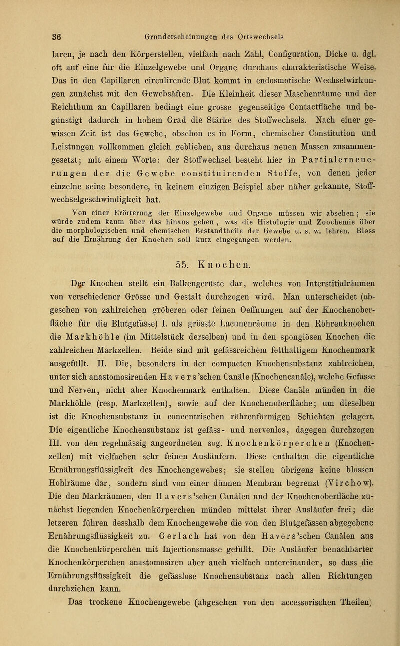 laren, je nach den Körperstellen, vielfach nach Zahl, Configuration, Dicke u. dgl. oft auf eine für die Eiuzelgewebe und Organe durchaus charakteristische Weise. Das in den Capillaren circulirende Blut kommt in endosmotische Wechselwirkun- gen zunächst mit den Gewebsäften. Die Kleinheit dieser Maschenräume und der Reichthum an Capillaren bedingt eine grosse gegenseitige Contactfläche und be- günstigt dadurch in hohem Grad die Stärke des Stoffwechsels. Nach einer ge- wissen Zeit ist das Gewebe, obschon es in Form, chemischer Constitution und Leistungen vollkommen gleich geblieben, aus durchaus neuen Massen zusammen- gesetzt; mit einem Worte: der Stoffwechsel besteht hier in Partialerneue- rungen der die Gewebe constituirenden Stoffe, von denen jeder einzelne seine besondere, in keinem einzigen Beispiel aber näher gekannte, Stoff- wechselgeschwindigkeit hat. Von einer Erörterung der Einzelgewebe und Organe müssen wir absehen ; sie würde zudem kaum über das hinaus gehen , was die Histologie und Zoochemie über die morphologischen und chemischen Bestandtheile der Gewebe u. s. w. lehren. Bloss auf die Ernährung der Knochen soll kurz eingegangen werden. 55. Knochen. D§r Knochen stellt ein Balkengerüste dar, welches von Interstitialräumen von verschiedener Grösse und Gestalt durchzogen wird. Man unterscheidet (ab- gesehen von zahlreichen gröberen oder feinen Oeffnungen auf der Knochenober- fläche für die Blutgefässe) I. als grösste Lacunenräume in den Röhrenknochen die Markhöhle (im Mittelstück derselben) und in den spongiösen Knochen die zahlreichen Markzellen. Beide sind mit gefässreichem fetthaltigem Knochenmark ausgefüllt. II. Die, besonders in der compacten Knochensubstanz zahlreichen, unter sich anastomosirenden H a v e r s 'sehen Canäle (Knochencanäle), welche Gefässe und Nerven, nicht aber Knochenmark enthalten. Diese Canäle münden in die Markhöhle (resp. Markzellen), sowie auf der Knochenoberfläche; um dieselben ist die Knochensubstanz in concentrischen röhrenförmigen Schichten gelagert. Die eigentliche Knochensubstanz ist gefäss- und nervenlos, dagegen durchzogen III. von den regelmässig angeordneten sog. Knochenkörperchen (Knochen- zellen) mit vielfachen sehr feinen Ausläufern. Diese enthalten die eigentliche Ernährungsflüssigkeit des Knochengewebes; sie stellen übrigens keine blossen Hohlräume dar, sondern sind von einer dünnen Membran begrenzt (Virchow). Die den Markräumen, den H a v e r s 'sehen Canälen und der Knochenoberfläche zu- nächst liegenden Knochenkörperchen münden mittelst ihrer Ausläufer frei; die letzeren führen desshalb dem Knochengewebe die von den Blutgefässen abgegebene Ernährungsflüssigkeit zu. Ger lach hat von den Havers'sehen Canälen aus die Knochenkörperchen mit Injectionsmasse gefüllt. Die Ausläufer benachbarter Knochenkörperchen anastomosiren aber auch vielfach untereinander, so dass die Ernährungsflüssigkeit die gefässlose Knochensubstanz nach allen Richtungen durchziehen kann. Das trockene Knochengewebe (abgesehen von den accessorischen Theilen)