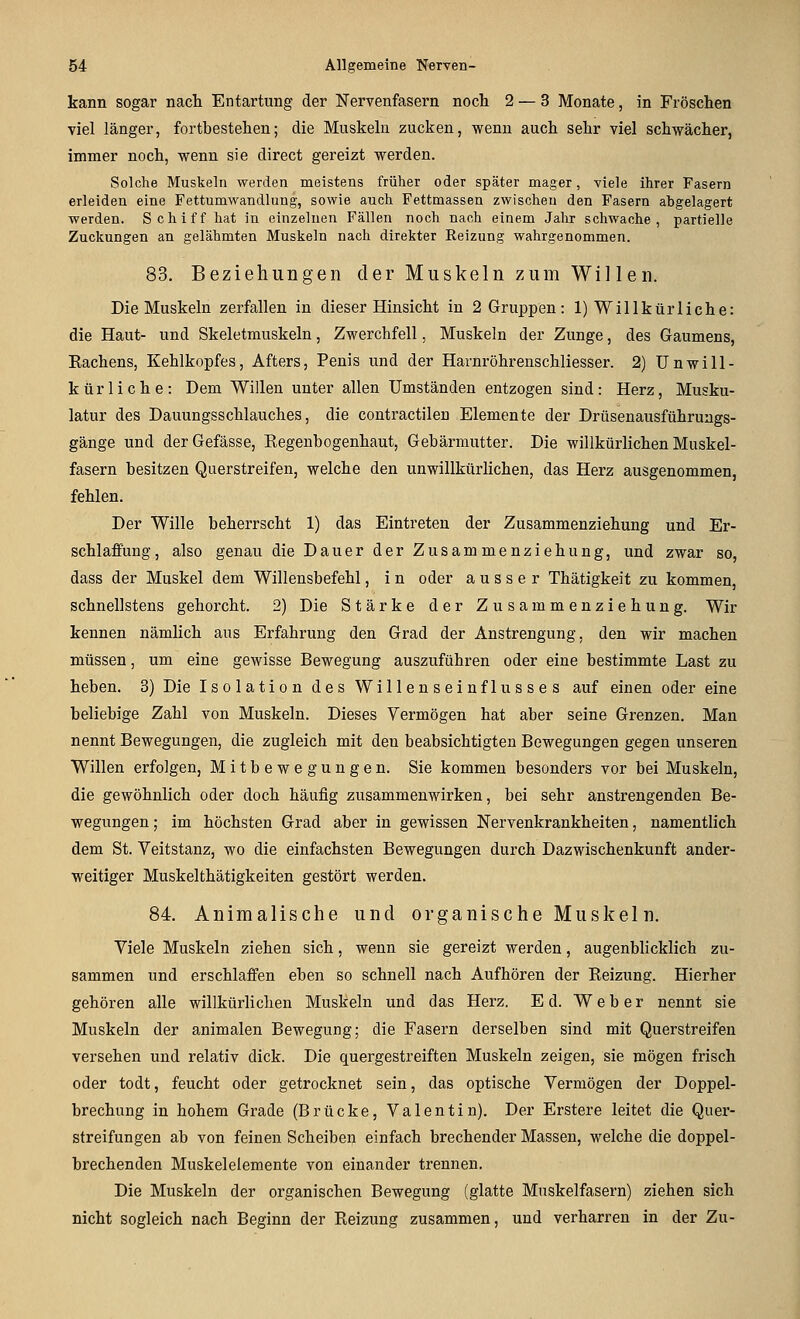 kann sogar nach Entartung der Nervenfasern noch 2 — 3 Monate, in Fröschen viel länger, fortbestehen; die Muskeln zucken, wenn auch sehr viel schwächer, immer noch, wenn sie direct gereizt werden. Solche Muskeln werden meistens früher oder später mager, viele ihrer Fasern erleiden eine Fettumwandlung, sowie auch Fettmassen zwischeu den Fasern abgelagert werden. Schiff hat in einzelnen Fällen noch nach einem Jahr schwache, partielle Zuckungen an gelähmten Muskeln nach direkter Reizung wahrgenommen. 83. Beziehungen der Muskeln zum Willen. Die Muskeln zerfallen in dieser Hinsicht in 2 Gruppen: 1) Willkürliche: die Haut- und Skeletmuskeln, Zwerchfell, Muskeln der Zunge, des Gaumens, Kachens, Kehlkopfes, Afters, Penis und der Harnröhrenschliesser. 2) Unwill- kürliche: Dem Willen unter allen Umständen entzogen sind: Herz, Musku- latur des Dauungsschlauches, die contractilen Elemente der Drüsenausführungs- gänge und derGefässe, Eegenhogenhaut, Gebärmutter. Die willkürlichen Muskel- fasern besitzen Querstreifen, welche den unwillkürlichen, das Herz ausgenommen, fehlen. Der Wille beherrscht 1) das Eintreten der Zusammenziehung und Er- schlaffung, also genau die Dauer der Zusammenziehung, und zwar so, dass der Muskel dem Willensbefehl, i n oder ausser Thätigkeit zu kommen, schnellstens gehorcht. 2) Die Stärke der Zusammenziehung. Wir kennen nämlich aus Erfahrung den Grad der Anstrengung, den wir machen müssen, um eine gewisse Bewegung auszuführen oder eine bestimmte Last zu heben. 3) Die Isolation des Willenseinflusses auf einen oder eine beliebige Zahl von Muskeln. Dieses Vermögen hat aber seine Grenzen. Man nennt Bewegungen, die zugleich mit den beabsichtigten Bewegungen gegen unseren Willen erfolgen, M i t b e w e gun g en. Sie kommen besonders vor bei Muskeln, die gewöhnlich oder doch häufig zusammenwirken, bei sehr anstrengenden Be- wegungen ; im höchsten Grad aber in gewissen Nervenkrankheiten, namentlich dem St. Veitstanz, wo die einfachsten Bewegungen durch Dazwischenkunft ander- weitiger Muskelthätigkeiten gestört werden. 84. Animalische und organische Muskeln. Viele Muskeln ziehen sich, wenn sie gereizt werden, augenblicklich zu- sammen und erschlaffen eben so schnell nach Aufhören der Reizung. Hierher gehören alle willkürlichen Muskeln und das Herz. Ed. Weber nennt sie Muskeln der animalen Bewegung; die Fasern derselben sind mit Querstreifen versehen und relativ dick. Die quergestreiften Muskeln zeigen, sie mögen frisch oder todt, feucht oder getrocknet sein, das optische Vermögen der Doppel- brechung in hohem Grade (Brücke, Valentin). Der Erstere leitet die Quer- streifungen ab von feinen Scheiben einfach brechender Massen, welche die doppel- brechenden Muskelelemente von einander trennen. Die Muskeln der organischen Bewegung (glatte Muskelfasern) ziehen sich nicht sogleich nach Beginn der Reizung zusammen, und verharren in der Zu-