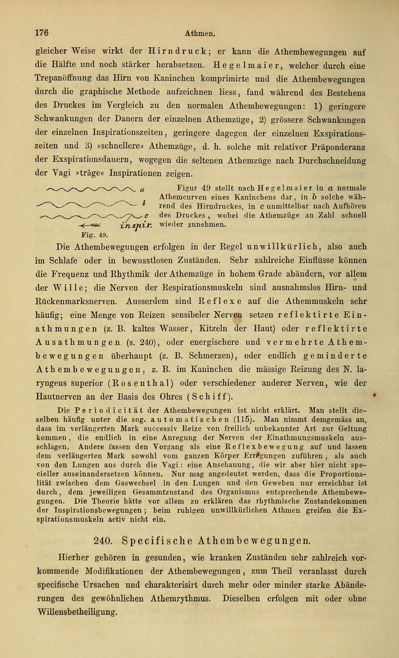 gleicher Weise wirkt der H i rn d r u c k ; er kann die Athembewegungen auf die Hälfte und noch stärker herabsetzen. Hegelmaier, welcher durch eine Trepanöffnung das Hirn von Kaninchen komprimirte und die Athembewegungen durch die graphische Methode aufzeichnen Hess, fand während des Bestehens des Druckes im Vergleich zu den normalen Athembewegungen: 1) geringere Schwankungen der Dauern der einzelnen Athemzüge, 2) grössere Schwankungen der einzelnen Inspirationszeiten, geringere dagegen der einzelnen Exspirations- zeiten und 3) »schnellere« Athemzüge, d. h. solche mit relativer Präponderanz der Exspirationsdauern, wogegen die seltenen Athemzüge nach Durchschneidung der Vagi »träge« Inspirationen zeigen. Figur 49 stellt nach Heg elmai er ia a normale Athemcurven eines Kaninchens dar, in 1) solche wäh- rend des Hirndruckes, in c unmittelbar nach Aufhören des Druckes, wobei die Athemzüge an Zahl schnell -^—«*^ iJnsitir. wieder zunehmen. Fig. 49. Die Athembewegungen erfolgen in der Regel unwillkürlich, also auch im Schlafe oder in bewusstlosen Zuständen. Sehr zahlreiche Einflüsse können die Frequenz und Rhythmik der Athemzüge in hohem Grade abändern, vor allem der Wille; die Nerven der Respirationsmuskeln sind ausnahmslos Hirn- und Rückenmarksnerven. Ausserdem sind Reflexe auf die Athemmuskeln sehr häufig; eine Menge von Reizen sensibeler Nerven setzen reflektirte Ein- athmungen (z.B. kaltes Wasser, Kitzeln der Haut) oder reflektirte Ausathmungen (s. 240), oder energischere und vermehrte Athem- bewegungen überhaupt (z. B. Schmerzen), oder endlich geminderte Athembewegungen, z. B. im Kaninchen die massige Reizung des N. la- ryngeus superior (Rosenthal) oder verschiedener anderer Nerven, wie der Hautnerven an der Basis des Ohres (Schiff). Die Periodicität der Athembewegungen ist nicht erklärt. Man stellt die- selben häufig unter die sog. automatischen (115). Man nimmt demgemäss an, dass im verlängerten Mark successiv Reize von freilich unbekannter Art zur Geltung kommen, die endlich in eine Anregung der Nerven der Einathmungsmuskeln aus- schlagen. Andere lassen den Vorgang als eine Reflexbewegung auf und lassen dem verlängerten Mark sowohl vom ganzen Körper Erregungen zuführen, als auch von den Lungen aus durch die Vagi: eine Anschauung, die wir aber hier nicht spe- cieller auseinandersetzen können. Nur mag angedeutet werden, dass die Proportiona- lität zwischen dem Gaswechsel in den Lungen und den Geweben nur erreichbar ist durch, dem jeweiligen Gesammtzustand des Organismus entsprechende Athembewe- gungen. Die Theorie hätte vor allem zu erklären das rhythmische Zustandekommen der Inspirationsbewegungen ; beim ruhigen unwillkürlichen Athmen greifen die Ex- spirationsmuskeJn activ nicht ein. 240. Specifische Athembewegungen. Hierher gehören in gesunden, wie kranken Zuständen sehr zahlreich vor- kommende Modifikationen der Athembewegungen, zum Theil veranlasst durch specifische Ursachen und charakterisirt durch mehr oder minder starke Abände- rungen des gewöhnlichen Athemrythmus. Dieselben erfolgen mit oder ohne Willensbetheiligung.