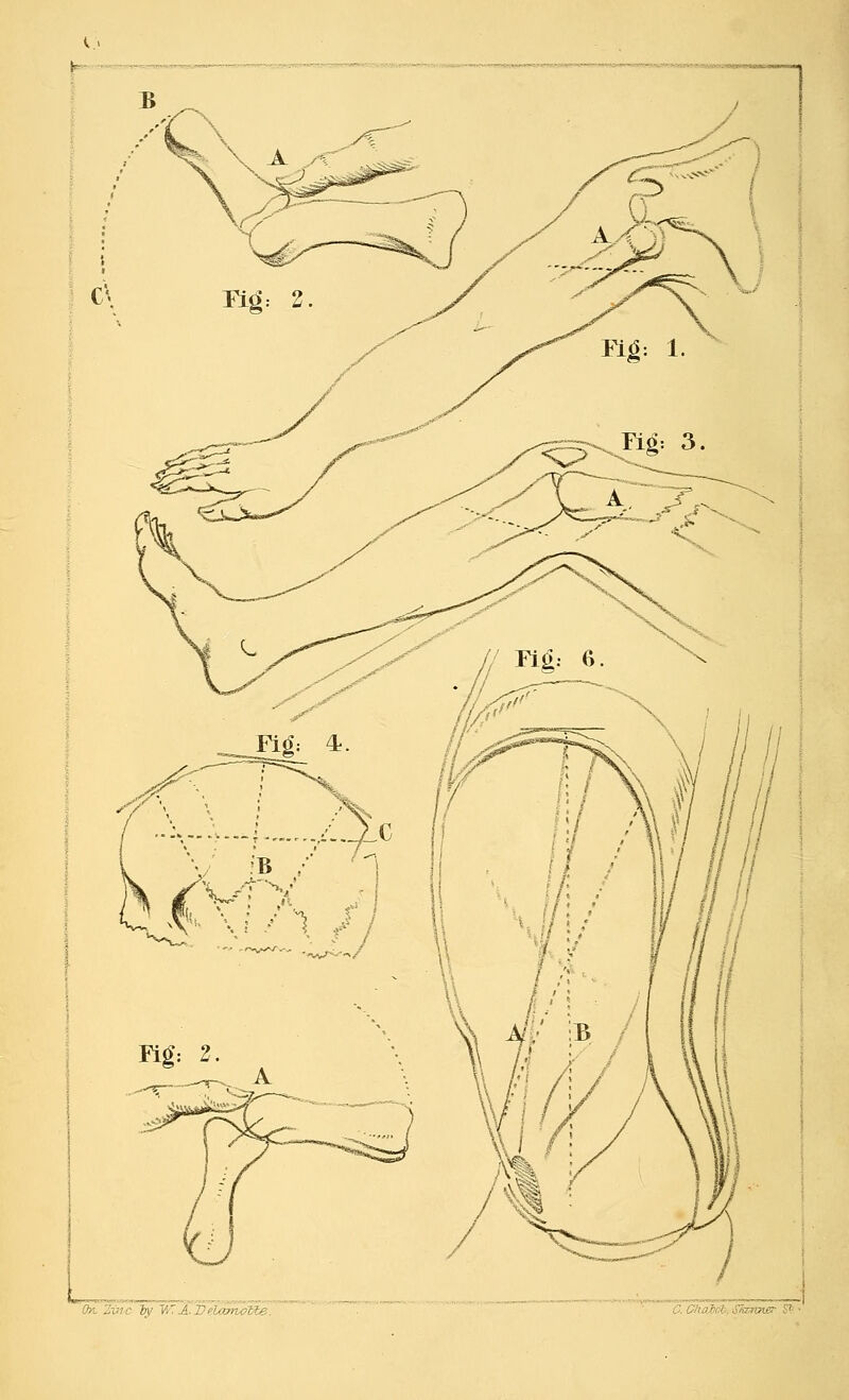 On, Zinc by V>.~. A. VeuvnoVbe Skamer S? ■