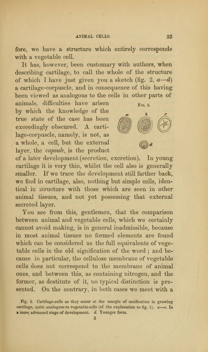 fore, we have a structure which entirely corresponds with a vegetable cell. It has, however, been customary with authors, when describing cartilage, to call the whole of the structure of which I have just given you a sketch (fig. 2, a—d) a cartilage-corpuscle, and in consequence of this having been viewed as analogous to the cells in other parts of animals, difficulties have arisen FlG 2 by which the knowledge of the true state of the case has been exceedingly obscured. A carti- lage-corpuscle, namely, is not, as a whole, a cell, but the external (S^s* layer, the capsule, is the product of a later development (secretion, excretion). In young cartilage it is very thin, whilst the cell also is generally smaller. If we trace the development still farther back, we find in cartilage, also, nothing but simple cells, iden- tical in structure with those which are seen in other animal tissues, and not yet possessing that external secreted layer. You see from this, gentlemen, that the comparison between animal and vegetable cells, which we certainly cannot avoid making, is in general inadmissible, because in most animal tissues no formed elements are found which can be considered as the full equivalents of vege- table cells in the old signification of the word ; and be- cause in particular, the cellulose membrane of vegetable cells does not correspond to the membrane of animal ones, and between this, as containing nitrogen, and the former, as destitute of it, no typical distinction is pre- sented. On the contrary, in both cases we meet with a Fig. 2. Cartilage-cells as they occur at the margin of ossification in growing cartilage, quite analogous to vegetable cells (cf. the explanation to fig. 1). a—c. In a more advanced stage of development, d. Younger form. 3