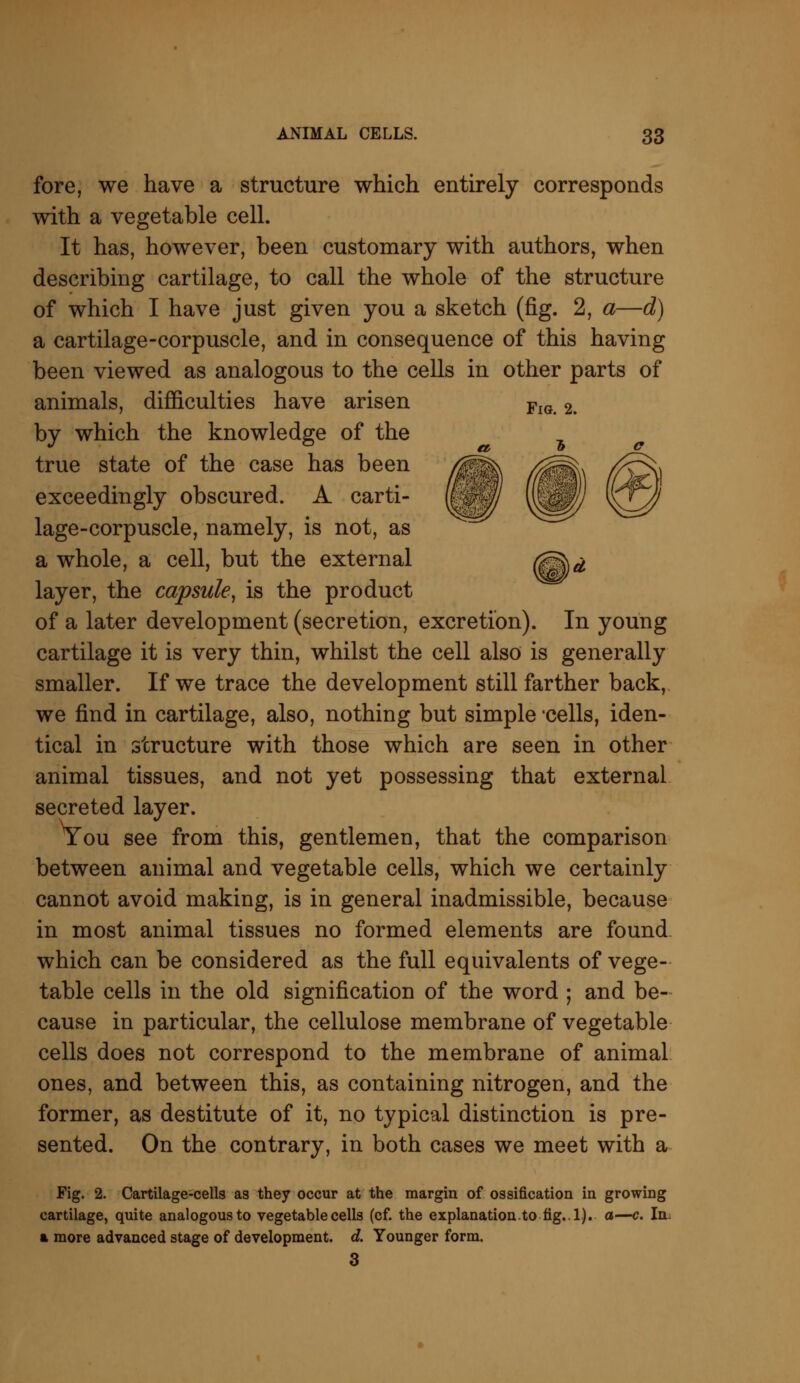 fore, we have a structure which entirely corresponds with a vegetable cell. It has, however, been customary with authors, when describing cartilage, to call the whole of the structure of which I have just given you a sketch (fig. 2, a—d) a cartilage-corpuscle, and in consequence of this having been viewed as analogous to the cells in other parts of animals, difficulties have arisen FlG 2. by which the knowledge of the true state of the case has been exceedingly obscured. A carti- lage-corpuscle, namely, is not, as a whole, a cell, but the external (@M layer, the capsule, is the product of a later development (secretion, excretion). In young cartilage it is very thin, whilst the cell also is generally smaller. If we trace the development still farther back, we find in cartilage, also, nothing but simple 'cells, iden- tical in structure with those which are seen in other animal tissues, and not yet possessing that external secreted layer. You see from this, gentlemen, that the comparison between animal and vegetable cells, which we certainly cannot avoid making, is in general inadmissible, because in most animal tissues no formed elements are found which can be considered as the full equivalents of vege- table cells in the old signification of the word ; and be- cause in particular, the cellulose membrane of vegetable cells does not correspond to the membrane of animal ones, and between this, as containing nitrogen, and the former, as destitute of it, no typical distinction is pre- sented. On the contrary, in both cases we meet with a Fig. 2. Cartilage-cells as they occur at the margin of ossification in growing cartilage, quite analogous to vegetable cells (cf. the explanation.to fig.. 1). a—c. In & more advanced stage of development, d. Younger form. 3