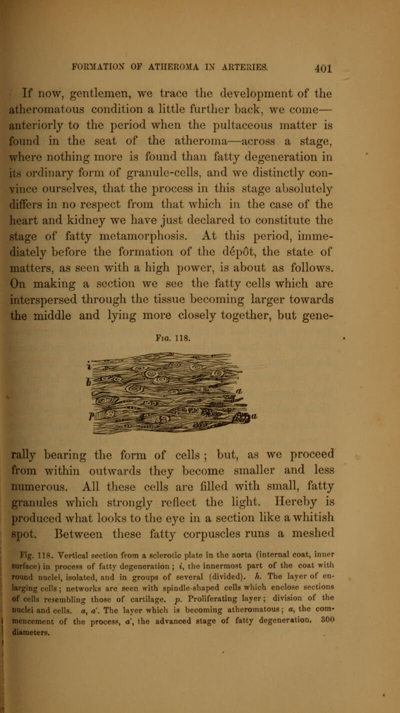 If now, gentlemen, we trace the development of the atheromatous condition a little further back, we come— anteriorly to the period when the pultaceous matter is found in the seat of the atheroma—across a stage, where nothing more is found than fatty degeneration in its ordinary form of granule-cells, and we distinctly con- vince ourselves, that the process in this stage absolutely differs in no respect from that which in the case of the heart and kidney we have just declared to constitute the stage of fatty metamorphosis. At this period, imme- diately before the formation of the depot, the state of matters, as seen with a high power, is about as follows. On making a section we see the fatty cells which are interspersed through the tissue becoming larger towards the middle and lying more closely together, but gene- Fig. 118. rally bearing the form of cells ; but, as we proceed from within outwards they become smaller and less numerous. All these cells are filled with small, fatty granules which strongly reflect the light. Hereby is produced what looks to the eye in a section like a whitish spot. Between these fatty corpuscles runs a meshed Fig. 118. Vertical section from a sclerotic plate in the aorta (internal coat, inner surface) in process of fatty degeneration ; i, the innermost part of the coat with round nuclei, isolated, and in groups of several (divided), h. The layer of en- larging cells ; networks are seen with spindle-shaped cells which enclose sections «f cells resembling those of cartilage, p. Proliferating layer; division of the nuclei and cells, a, a'. The layer which is becoming atheromatous; a, the com- mencement of the process, a', the advanced stage of fatty degeneration. 300 diameters.
