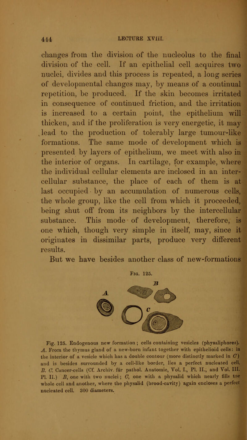 changes from the division of the nucleolus to the final division of the cell. If an epithelial cell acquires two nuclei, divides and this process is repeated, a long series of developmental changes may, by means of a continual repetition, be produced. If the skin becomes irritated in consequence of continued friction, and the irritation is increased to a certain point, the epithelium will thicken, and if the proliferation is very energetic, it may lead to the production of tolerably large tumour-like formations. The same mode of development which is presented by layers of epithelium, we meet with also in the interior of organs. In cartilage, for example, where the individual cellular elements are inclosed in an inter- cellular substance, the place of each of them is at last occupied by an accumulation of numerous cells, the whole group, like the cell from which it proceeded, being shut off from its neighbors by the intercellular substance. This mode of development, therefore, is one which, though very simple in itself, may, since it originates in dissimilar parts, produce very different results. But we have besides another class of new-formations Fig. 125. Fig. 125. Endogenous new formation ; cells containing vesicles (physaliphores). A. From the thymus gland of a new-born infant together with epithelioid cells: in the interior of a vesicle which has a double contour (more distinctly marked in C) and is besides surrounded by a cell-like border, lies a perfect nucleated cell. B. C. Cancer-cells (Cf. Archiv. fur pathol. Anatomie, Vol. I., PI. II., and Vol. III. PI. II.) B, one with two nuclei; C, one with a physalid which nearly fills tne whole cell and another, where the physalid (brood-cavity) again encloses a perfect nucleated cell. 300 diameters.