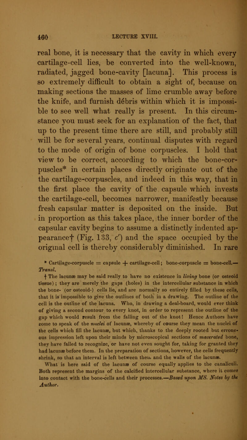 real bone, it is necessary that the cavity in which every cartilage-cell lies, be converted into the well-known, radiated, jagged bone-cavity [lacuna]. This process is so extremely difficult to obtain a sight of, because on making sections the masses of lime crumble away before the knife, and furnish debris within which it is impossi- ble to see well what really is present. In this circum- stance you must seek for an explanation of the fact, that up to the present time there are still, and probably still will be for several years, continual disputes with regard to the mode of origin of bone corpuscles. I hold that view to be correct, according to which the bone-cor- puscles* in certain places directly originate out of the the cartilage-corpuscles, and indeed in this way, that in the first place the cavity of the capsule which invests the cartilage-cell, becomes narrower, manifestly because fresh capsular matter is deposited on the inside. But in proportion as this takes place, the inner border of the capsular cavity begins to assume a distinctly indented ap- pearance*]* (Fig. 133, c') and the space occupied by the original cell is thereby considerably diminished. In rare * Cartilage-corpuscle = capsule -f- cartilage-cell; bone-corpuscle = bone-cell.— Transl. \ The lacunae may be said really to have no existence in living bone (or osteoid tissue); they are merely the gaps (holes) in the intercellular substance in which the bone- (or osteoid-) cells lie, and are normally so entirely filled by these cells, that it is impossible to give the outlines of both in a drawing. The outline of the cell is the outline of the lacuna. Who, in drawing a deal-board, would ever think of giving a second contour to every knot, in order to represent the outline of the gap which would result from the falling out of the knot! Hence Authors have come to speak of the nuclei of lacunae, whereby of course they mean the nuclei of the cells which fill the lacunae, but which, thanks to the deeply rooted but errone- ous impression left upon their minds by microscopical sections of macerated bone, they have failed to recognize, or have not even sought for, taking for granted they had lacunae before them. In the preparation of sections, however, the cells frequently shrink, ho that an interval is left between them and the walls of the lacunae. What is here said of the lacunae of course equally applies to the canaliculi. Both represent the margins of the calcified intercellular substance, where it comes into contact with the bone-cells and their processes.—Based upon MS. Notes by ihi Author.