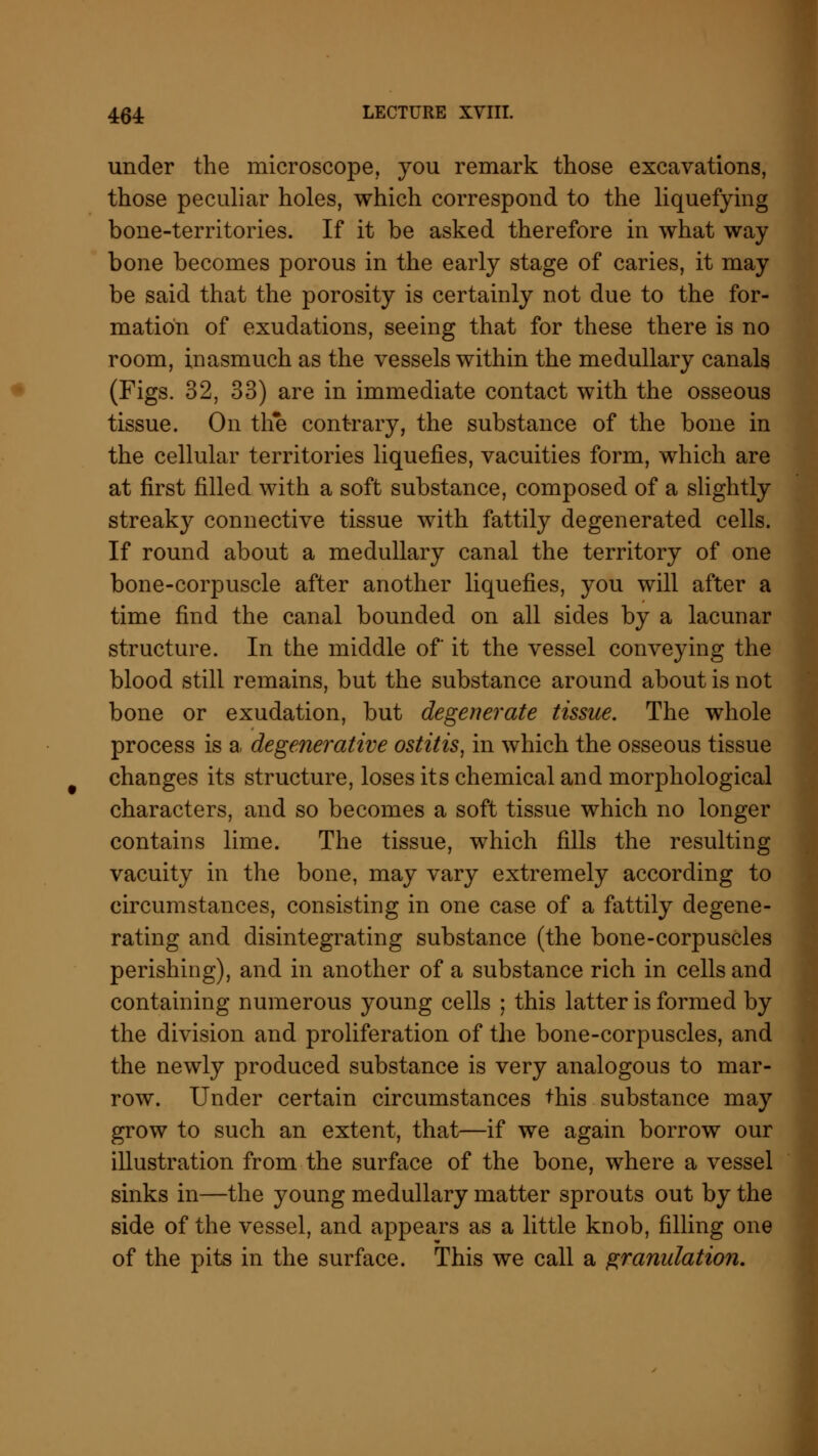 under the microscope, you remark those excavations, those peculiar holes, which correspond to the liquefying bone-territories. If it be asked therefore in what way bone becomes porous in the early stage of caries, it may be said that the porosity is certainly not due to the for- mation of exudations, seeing that for these there is no room, inasmuch as the vessels within the medullary canals (Figs. 32, 33) are in immediate contact with the osseous tissue. On the contrary, the substance of the bone in the cellular territories liquefies, vacuities form, which are at first filled with a soft substance, composed of a slightly streaky connective tissue with fattily degenerated cells. If round about a medullary canal the territory of one bone-corpuscle after another liquefies, you will after a time find the canal bounded on all sides by a lacunar structure. In the middle of it the vessel conveying the blood still remains, but the substance around about is not bone or exudation, but degenerate tissue. The whole process is a degenerative ostitis, in which the osseous tissue changes its structure, loses its chemical and morphological characters, and so becomes a soft tissue which no longer contains lime. The tissue, which fills the resulting vacuity in the bone, may vary extremely according to circumstances, consisting in one case of a fattily degene- rating and disintegrating substance (the bone-corpuscles perishing), and in another of a substance rich in cells and containing numerous young cells ; this latter is formed by the division and proliferation of the bone-corpuscles, and the newly produced substance is very analogous to mar- row. Under certain circumstances this substance may grow to such an extent, that—if we again borrow our illustration from the surface of the bone, where a vessel sinks in—the young medullary matter sprouts out by the side of the vessel, and appears as a little knob, filling one of the pits in the surface. This we call a granulation.