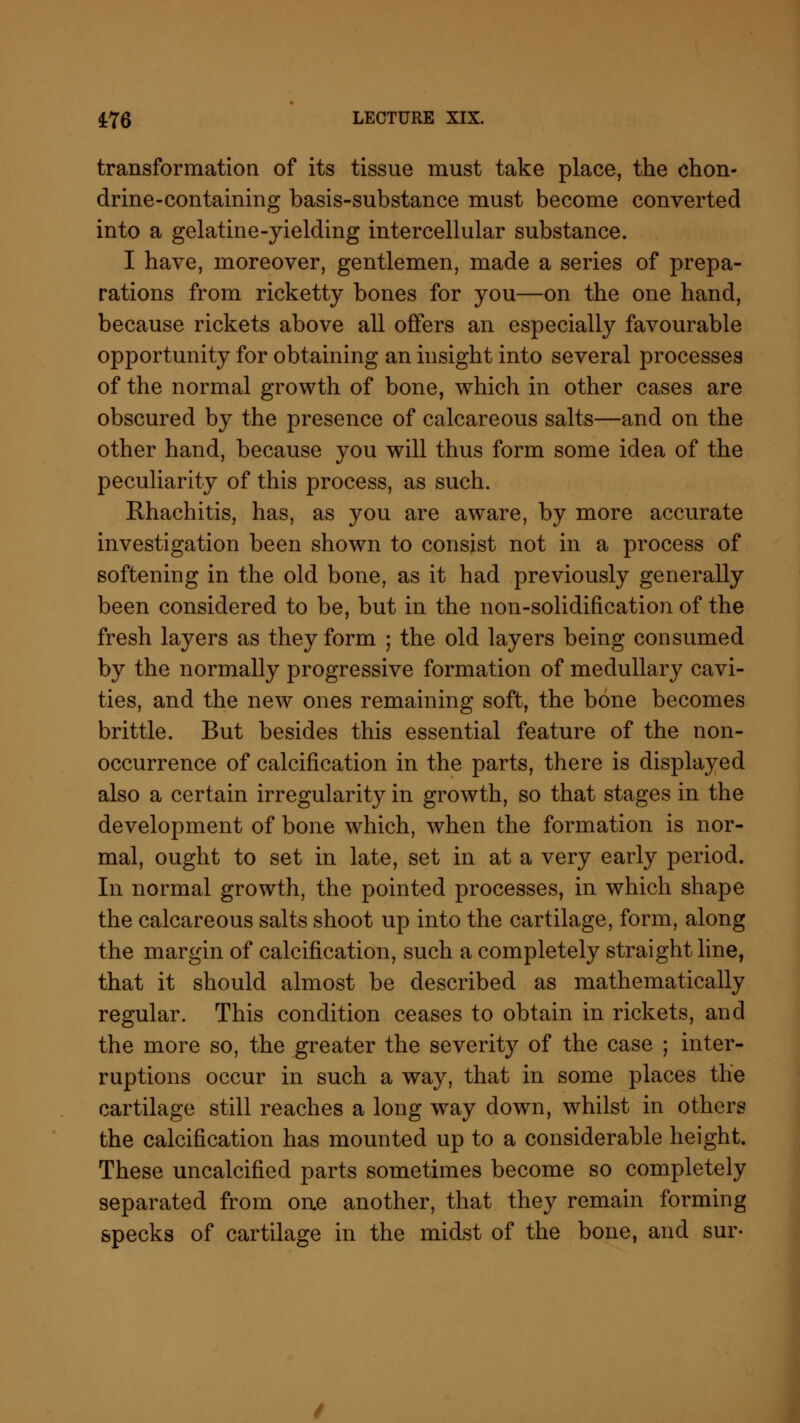 transformation of its tissue must take place, the chon- drine-containing basis-substance must become converted into a gelatine-yielding intercellular substance. I have, moreover, gentlemen, made a series of prepa- rations from ricketty bones for you—on the one hand, because rickets above all offers an especially favourable opportunity for obtaining an insight into several processes of the normal growth of bone, which in other cases are obscured by the presence of calcareous salts—and on the other hand, because you will thus form some idea of the peculiarity of this process, as such. Rhachitis, has, as you are aware, by more accurate investigation been shown to consist not in a process of softening in the old bone, as it had previously generally been considered to be, but in the non-solidification of the fresh layers as they form ; the old layers being consumed by the normally progressive formation of medullary cavi- ties, and the new ones remaining soft, the bone becomes brittle. But besides this essential feature of the non- occurrence of calcification in the parts, there is displayed also a certain irregularity in growth, so that stages in the development of bone which, when the formation is nor- mal, ought to set in late, set in at a very early period. In normal growth, the pointed processes, in which shape the calcareous salts shoot up into the cartilage, form, along the margin of calcification, such a completely straight line, that it should almost be described as mathematically regular. This condition ceases to obtain in rickets, and the more so, the greater the severhvy of the case ; inter- ruptions occur in such a way, that in some places the cartilage still reaches a long way down, whilst in others the calcification has mounted up to a considerable height. These uncalcified parts sometimes become so completely separated from one another, that they remain forming specks of cartilage in the midst of the bone, and sur-