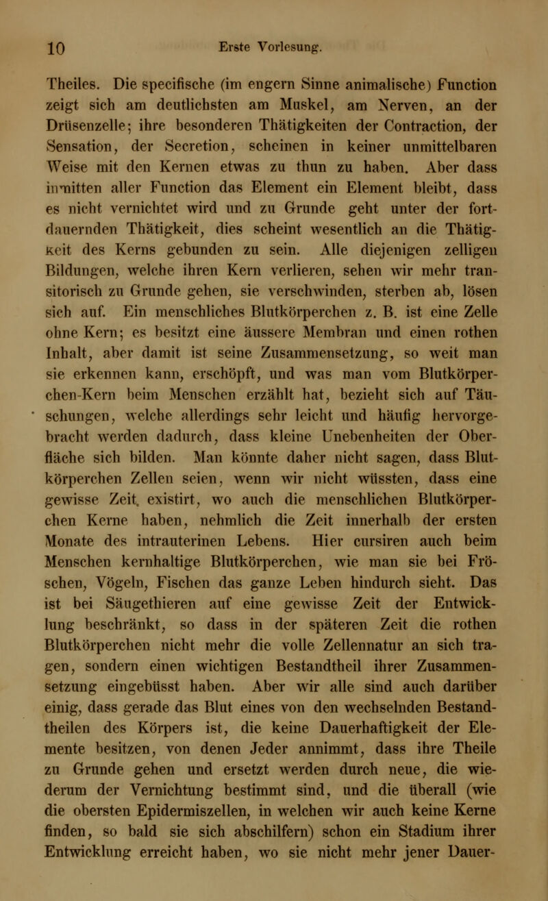 Theiles. Die spezifische (im engern Sinne animalische) Function zeigt sich am deutlichsten am Muskel, am Nerven, an der Drüsenzelle; ihre besonderen Thätigkeiten der Contraction, der Sensation, der Secretion, scheinen in keiner unmittelbaren Weise mit den Kernen etwas zu thun zu haben. Aber dass inmitten aller Function das Element ein Element bleibt, dass es nicht vernichtet wird und zu Grunde geht unter der fort- dauernden Thätigkeit, dies scheint wesentlich an die Thätig- Keit des Kerns gebunden zu sein. Alle diejenigen zelligen Bildungen, welche ihren Kern verlieren, sehen wir mehr tran- sitorisch zu Grunde gehen, sie verschwinden, sterben ab, lösen sich auf. Ein menschliches Blutkörperchen z. B. ist eine Zelle ohne Kern; es besitzt eine äussere Membran und einen rothen Inhalt, aber damit ist seine Zusammensetzung, so weit man sie erkennen kann, erschöpft, und was man vom Blutkörper- chen-Kern beim Menschen erzählt hat, bezieht sich auf Täu- schungen, welche allerdings sehr leicht und häufig hervorge- bracht werden dadurch, dass kleine Unebenheiten der Ober- fläche sich bilden. Man könnte daher nicht sagen, dass Blut- körperchen Zellen seien, wenn wir nicht wtissten, dass eine gewisse Zeit, existirt, wo auch die menschlichen Blutkörper- chen Kerne haben, nehmlich die Zeit innerhalb der ersten Monate des intrauterinen Lebens. Hier cursiren auch beim Menschen kernhaltige Blutkörperchen, wie man sie bei Frö- schen, Vögeln, Fischen das ganze Leben hindurch sieht. Das ist bei Säugethieren auf eine gewisse Zeit der Entwick- lung beschränkt, so dass in der späteren Zeit die rothen Blutkörperchen nicht mehr die volle Zellennatur an sich tra- gen, sondern einen wichtigen Bestandteil ihrer Zusammen- setzung eingebüsst haben. Aber wir alle sind auch darüber einig, dass gerade das Blut eines von den wechselnden Bestand- teilen des Körpers ist, die keine Dauerhaftigkeit der Ele- mente besitzen, von denen Jeder annimmt, dass ihre Theile zu Grunde gehen und ersetzt werden durch neue, die wie- derum der Vernichtung bestimmt sind, und die überall (wie die obersten Epidermiszellen, in welchen wir auch keine Kerne finden, so bald sie sich abschilfern) schon ein Stadium ihrer Entwicklung erreicht haben, wo sie nicht mehr jener Dauer-