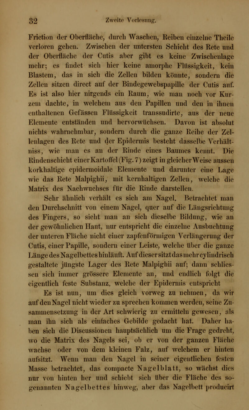 Friction der Oberfläche, durch Waschen, Reiben einzelne Theile verloren gehen. Zwischen der untersten Schicht des Rete und der Oberfläche der Cutis aber gibt es keine Zwischenlage mehr; es findet sich hier keine amorphe Flüssigkeit, kein Blastem, das in sich die Zellen bilden könnte, sondern die Zellen sitzen direct auf der Bindegewebspapille der Cutis auf. Es ist also hier nirgends ein Raum, wie man noch vor Kur- zem dachte, in welchem aus den Papillen und den in ihnen enthaltenen Gcfässen Flüssigkeit transsudirte, aus der neue Elemente entständen und hervorwüchsen. Davon ist absolut nichts wahrnehmbar, sondern durch die ganze Reihe der Zel- lenlagen des Rete und der Epidermis besteht dasselbe Verhält- nisse wie man es an der Rinde eines Baumes kennt. Die Rindenschicht einer Kartoffel (Fig. 7) zeigt in gleicherweise aussen korkhaltige epidermoidale Elemente und darunter eine Lage wie das Rete Malpighii, mit kernhaltigen Zellen, welche die Matrix des Nachwuchses für die Rinde darstellen. Sehr ähnlich verhält es sich am Nagel. Betrachtet man den Durchschnitt von einem Nagel, quer auf die Längsrichtung des Fingers, so sieht man an sich dieselbe Bildung, wie an der gewöhnlichen Haut, nur entspricht die einzelne Ausbuchtung der unteren Fläche nicht einer zapfenförmigen Verlängerung der Cutis, einer Papille, sondern einer Leiste, welche über die ganze Länge des Nagelbettes hinläuft. Auf dieser sitzt das mehr cy lindrisch gestaltete jüngste Lager des Rete Malpighii auf; dann schlies- sen sich immer grössere Elemente an, und endlich folgt die eigentlich feste Substanz, welche der Epidermis entspricht Es ist nun, um dies gleich vorweg zu nehmen, da wir auf den Nagel nicht wieder zu sprechen kommen werden, seine Zu- sammensetzung in der Art schwierig zu ermitteln gewesen, als man ihn sich als einfaches Gebilde gedacht hat. Daher ha- ben sich die Discussionen hauptsächlich um die Frage gedreht, wo die Matrix des Nagels sei, ob er von der ganzen Fläche wachse oder von dem kleinen Falz, auf welchem er hinten aufsitzt. Wenn man den Nagel in seiner eigentlichen festen Masse betrachtet, das compacte Nagelblatt, so wächst dies nur von hinten her und schiebt sich über die Fläche des so- genannten Nagelbettes hinweg, aber das Nagelbett producirt